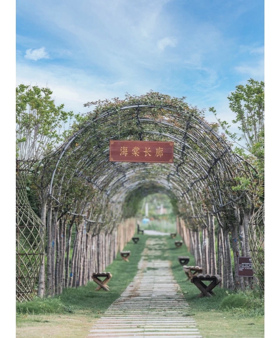 江淮植物园(暂停开放)旅行图片 1