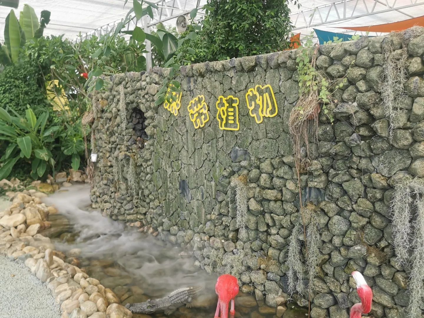 江淮植物园(暂停开放)旅行图片 1