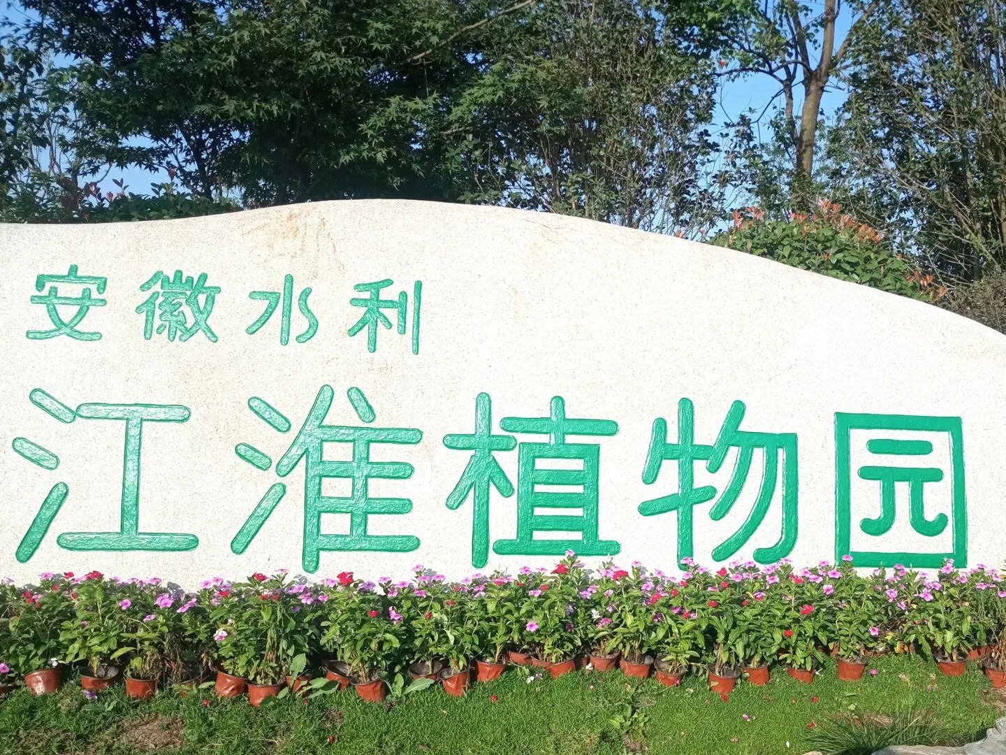 江淮植物园(暂停开放)旅行图片 2