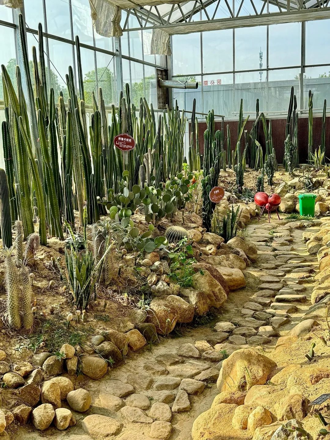 江淮植物园(暂停开放)旅行图片 3