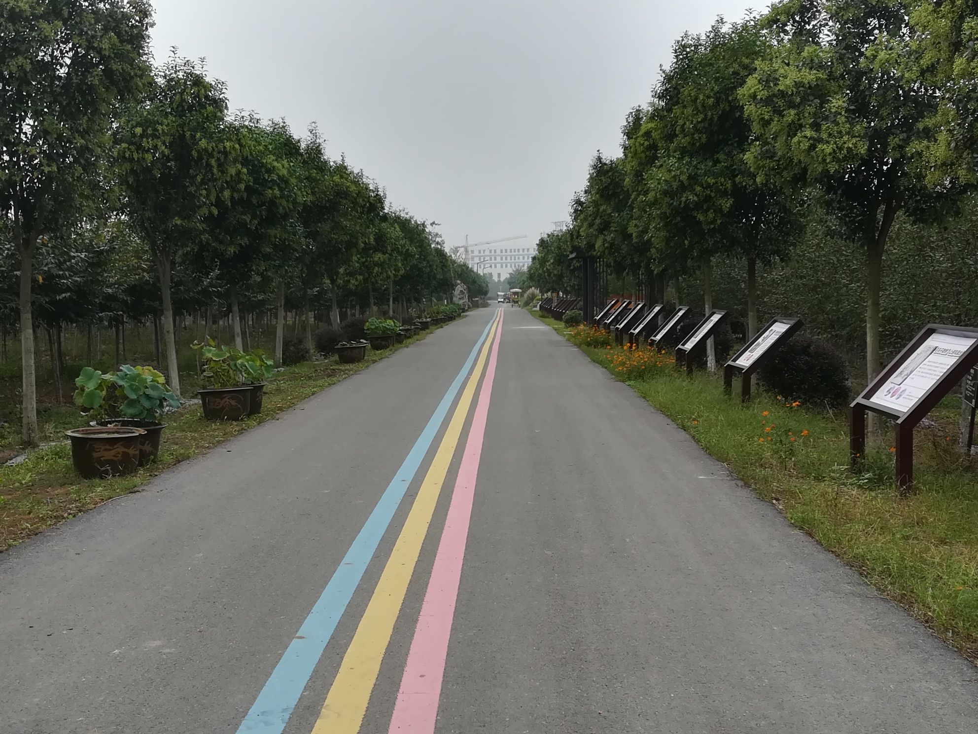 江淮植物园(暂停开放)旅行图片 2