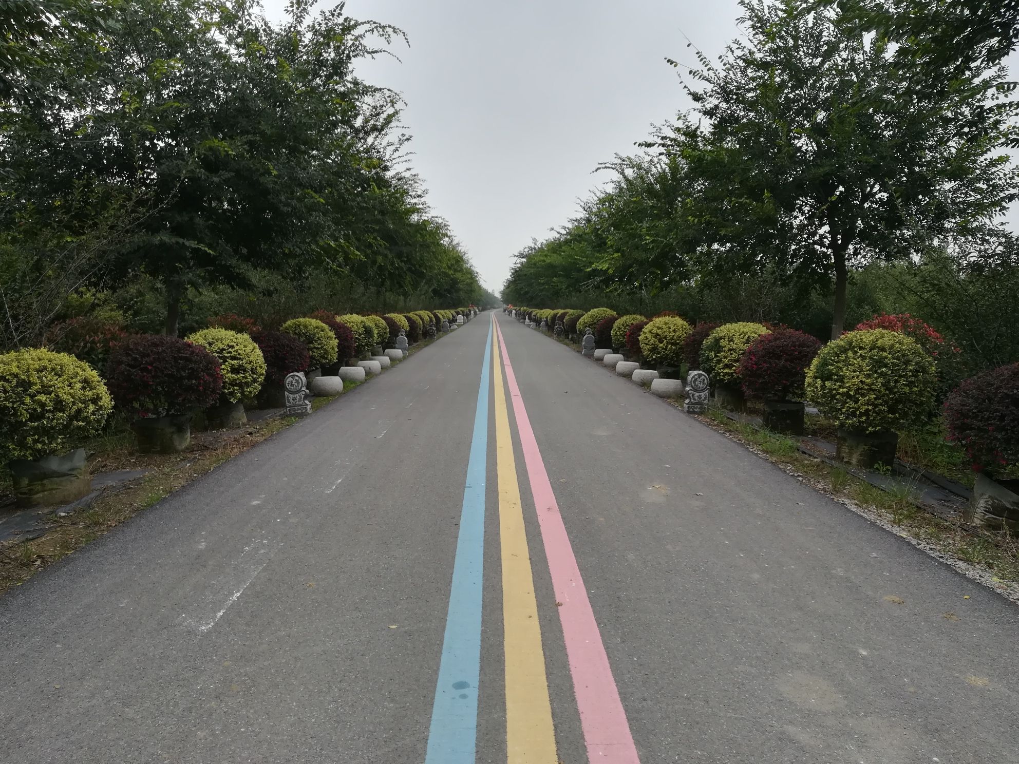江淮植物园(暂停开放)旅行图片 1