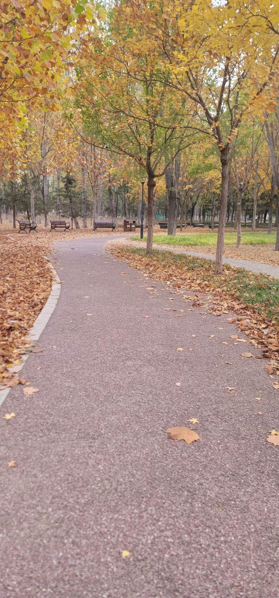惠民公园旅行图片 3