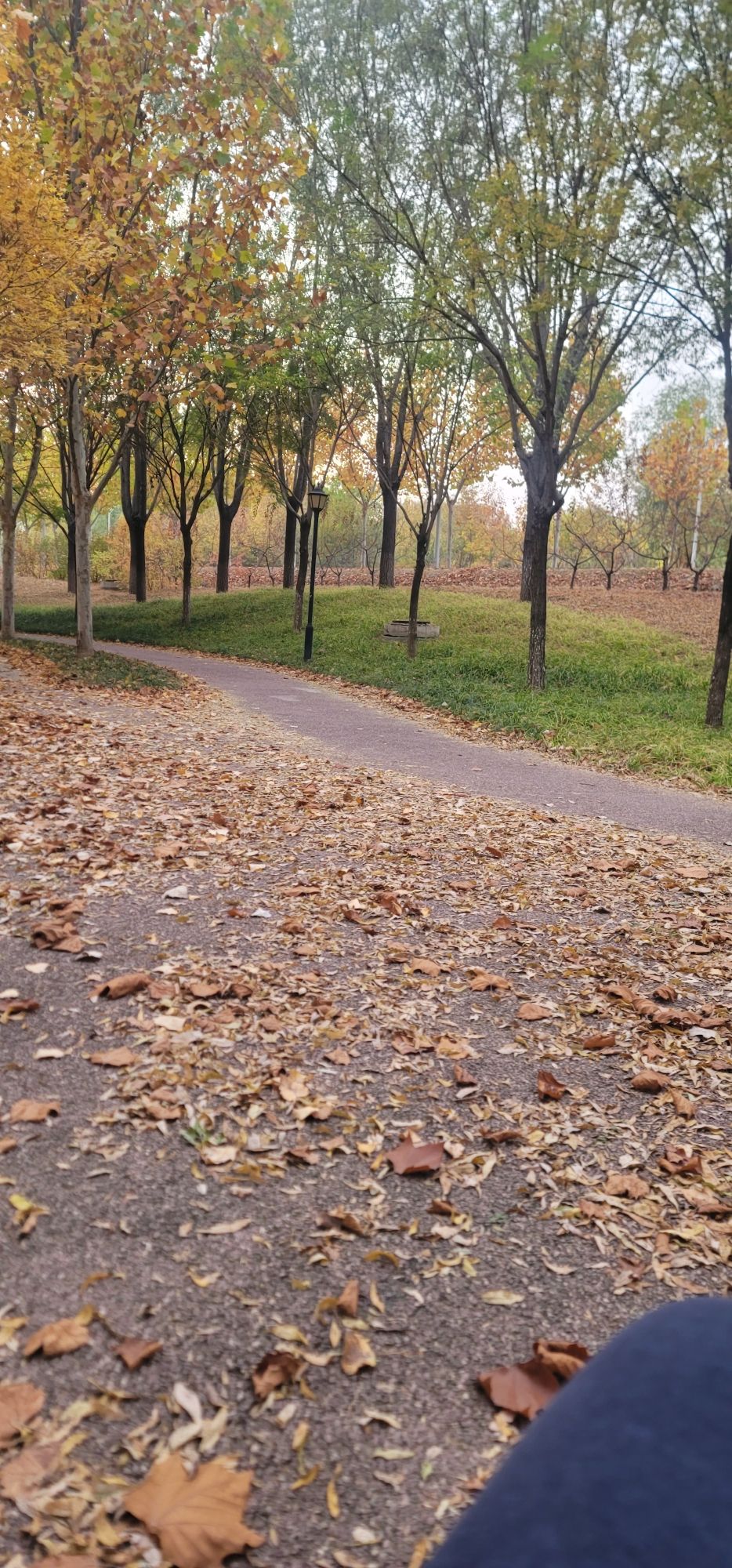 惠民公园旅行图片 2
