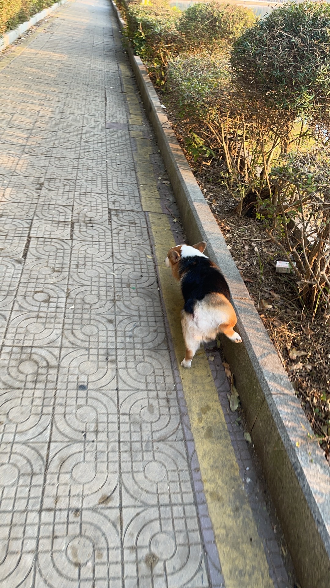马田公园旅行图片 1