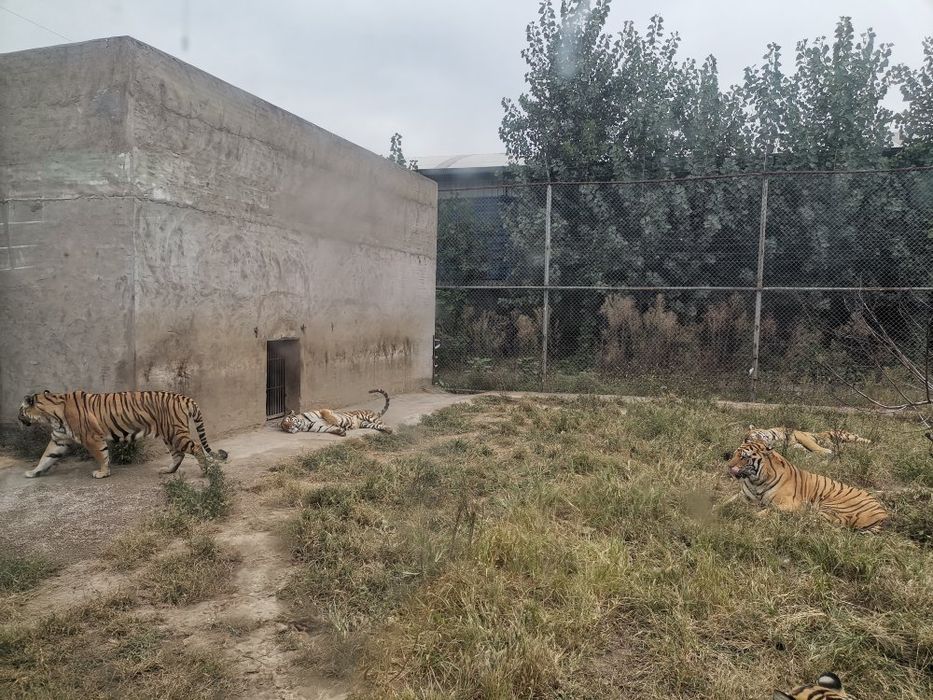 沁阳和生森林动物乐园旅行图片 3
