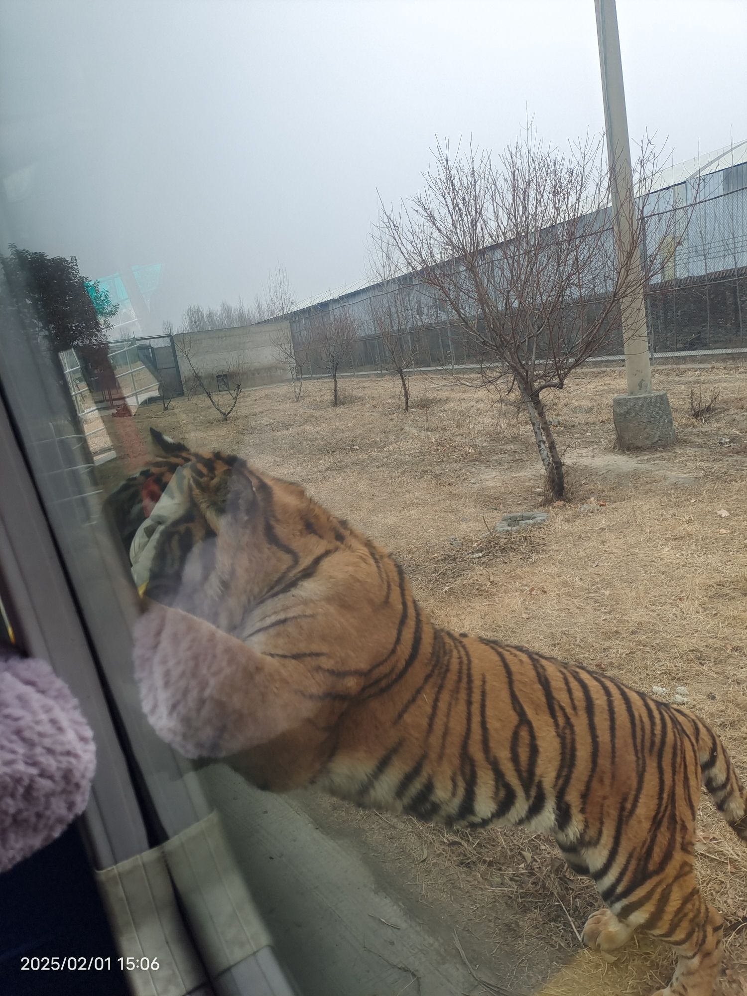 沁阳和生森林动物乐园旅行图片 2