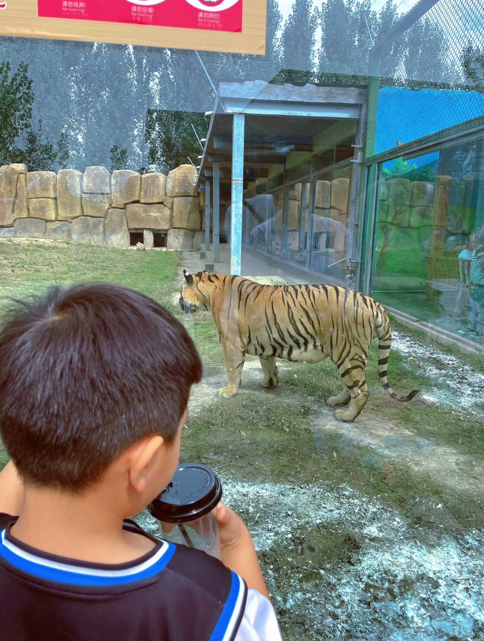 沁阳和生森林动物乐园旅行图片 2