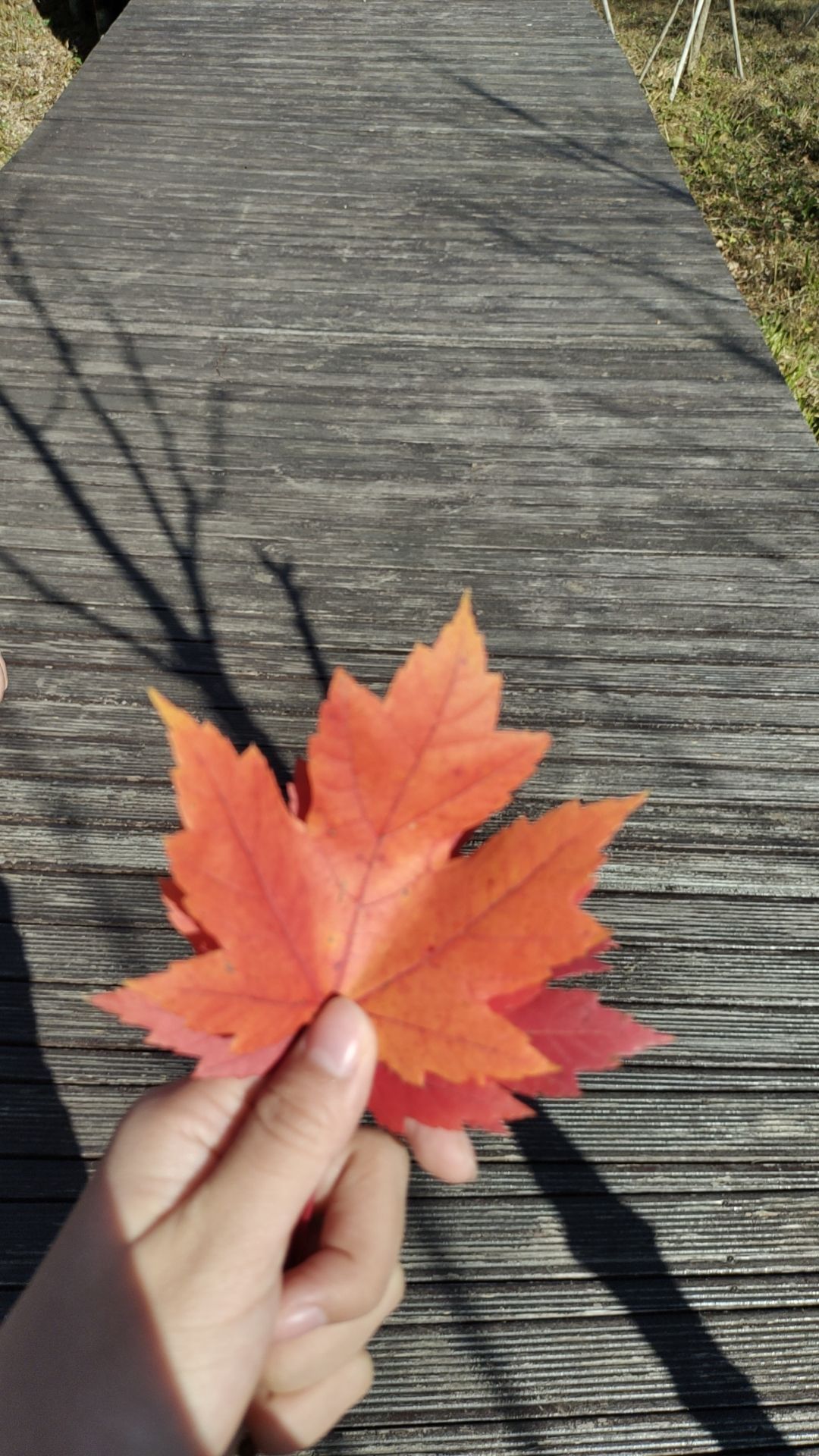 南仁东广场旅行图片 3