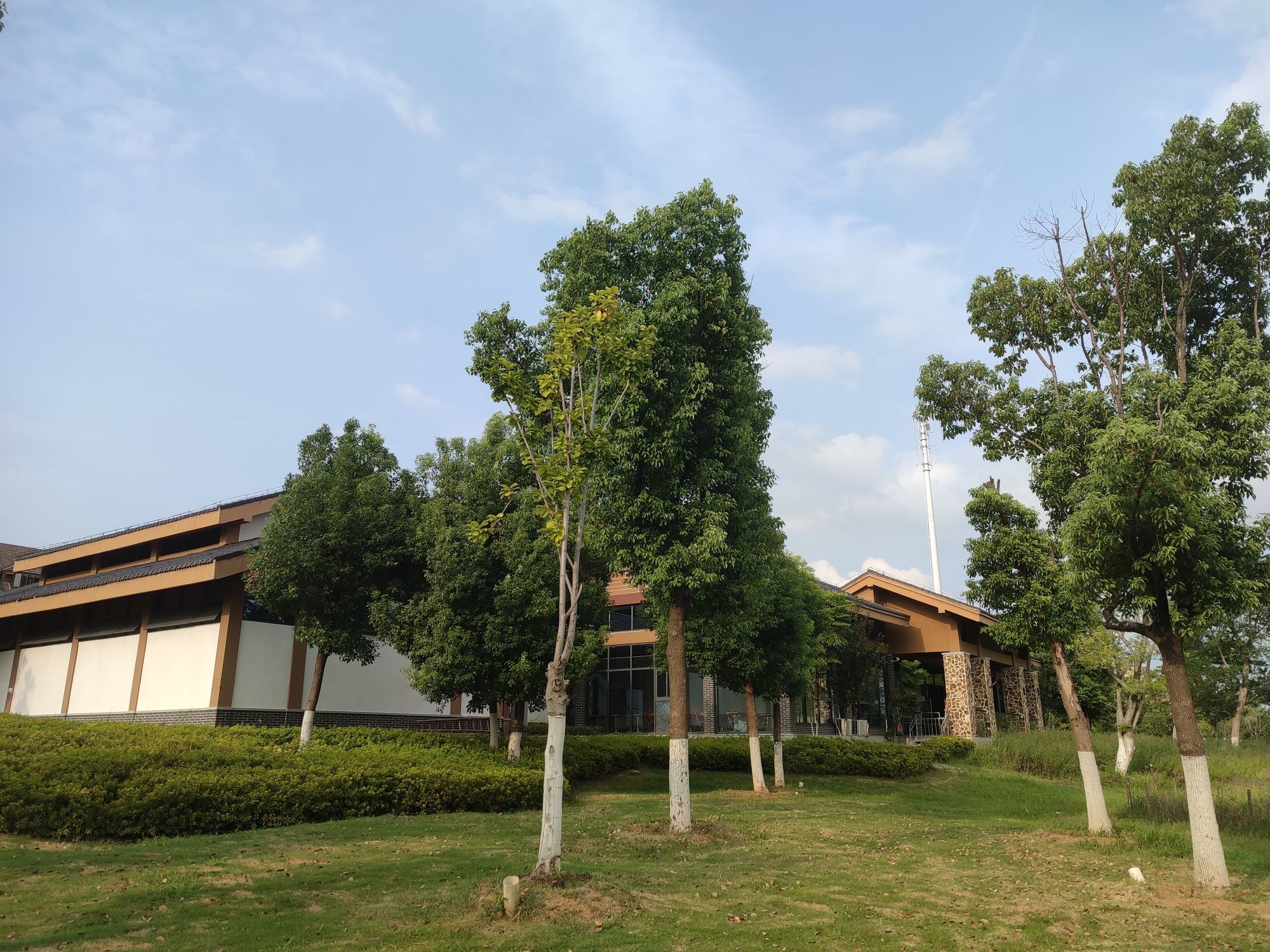 双花驿公园旅行图片 3