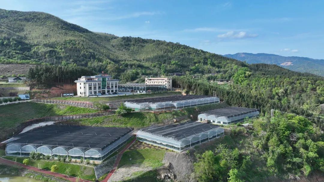 久泰小镇旅行图片 2