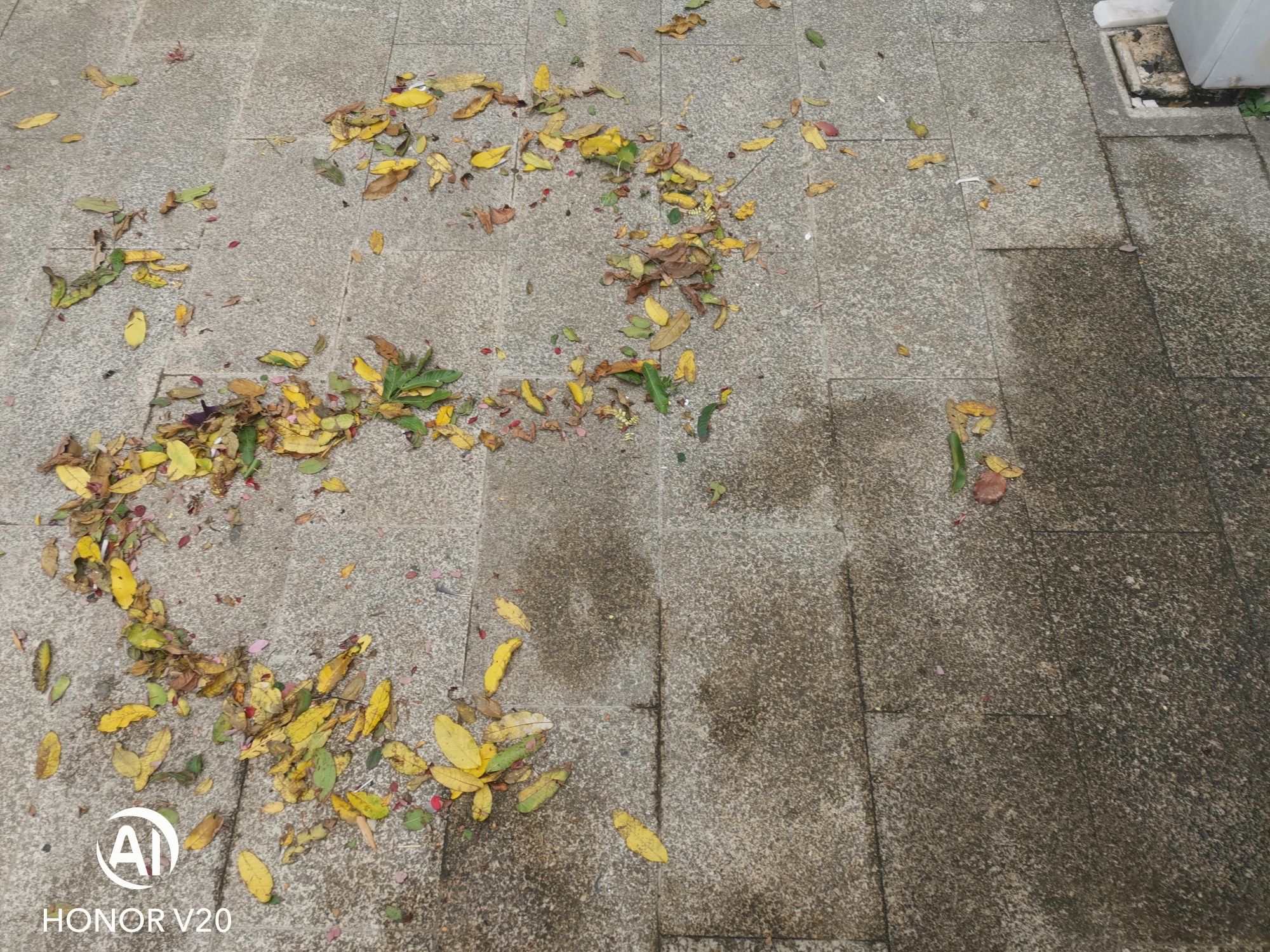 永丰城市公园旅行图片 2