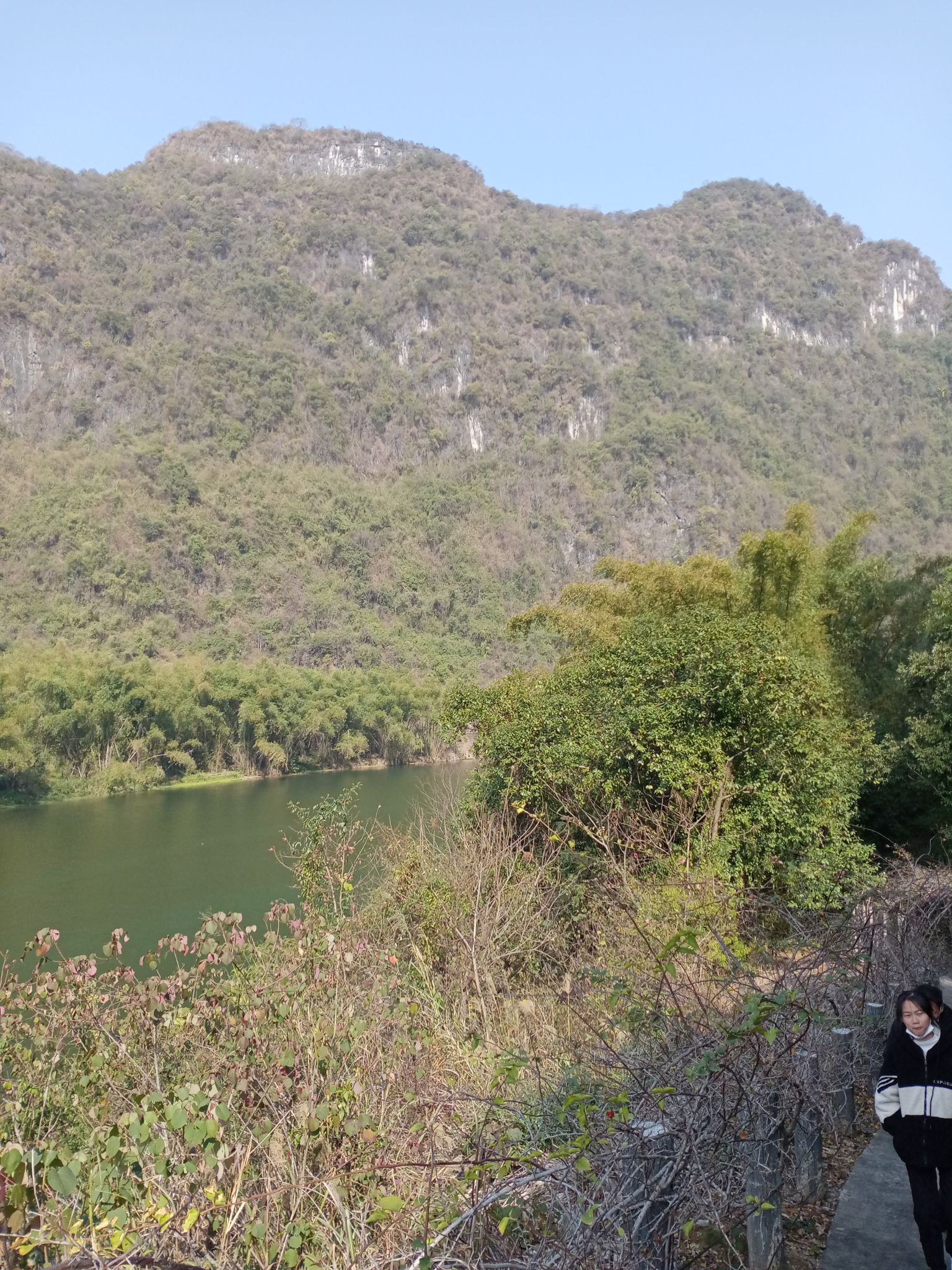 米椎林度假村旅行图片 2