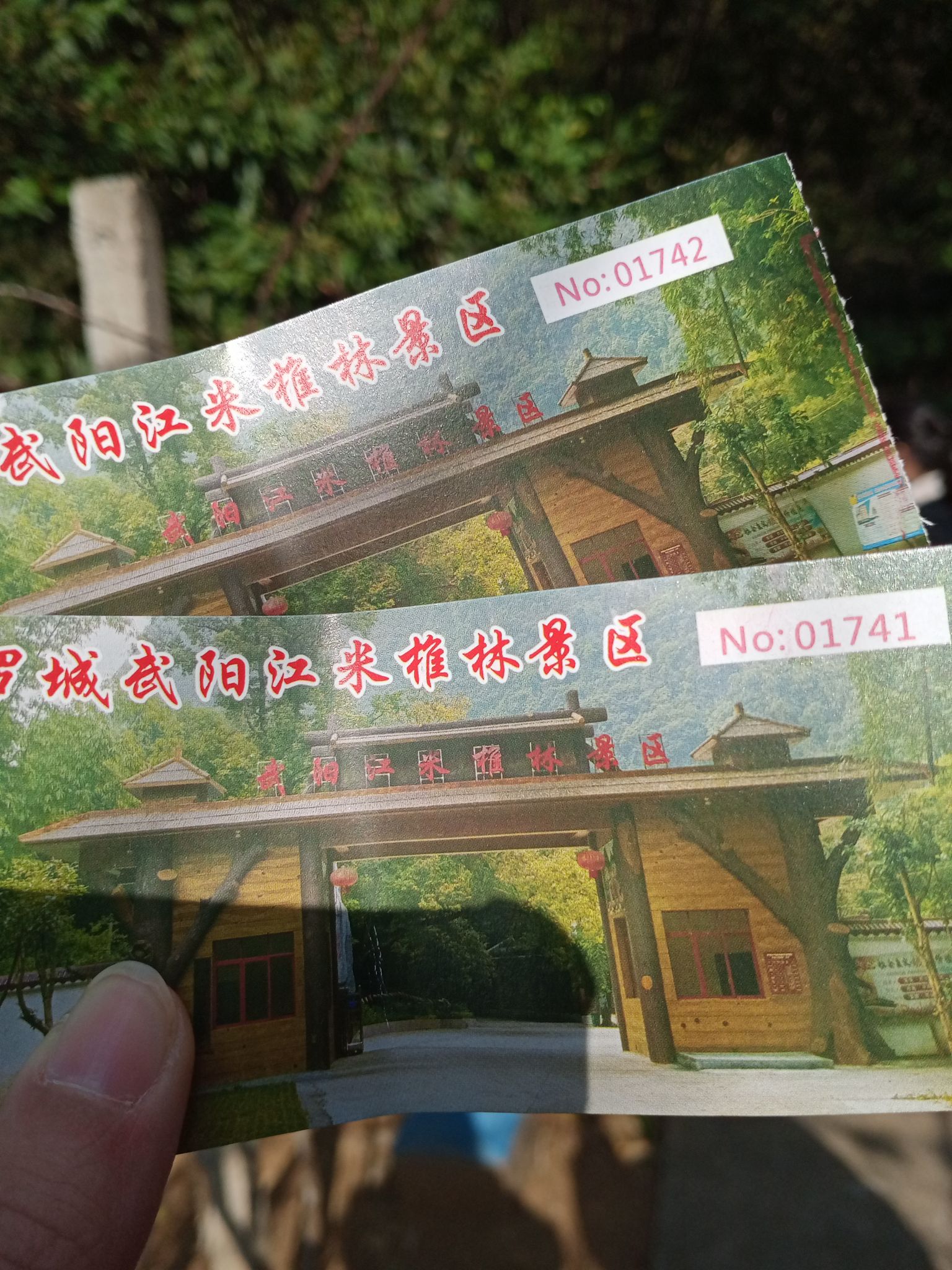 米椎林度假村旅行图片 1