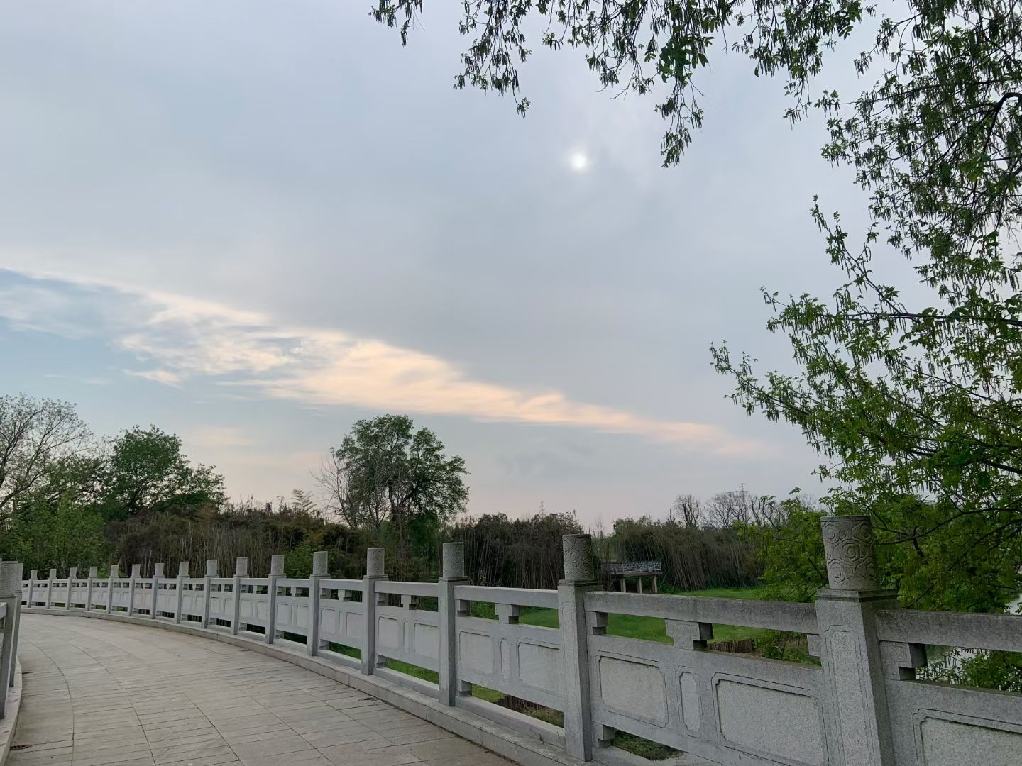 三江湿地公园旅行图片 3