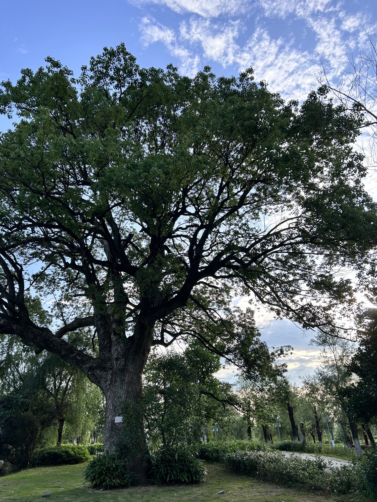 三江湿地公园旅行图片 2