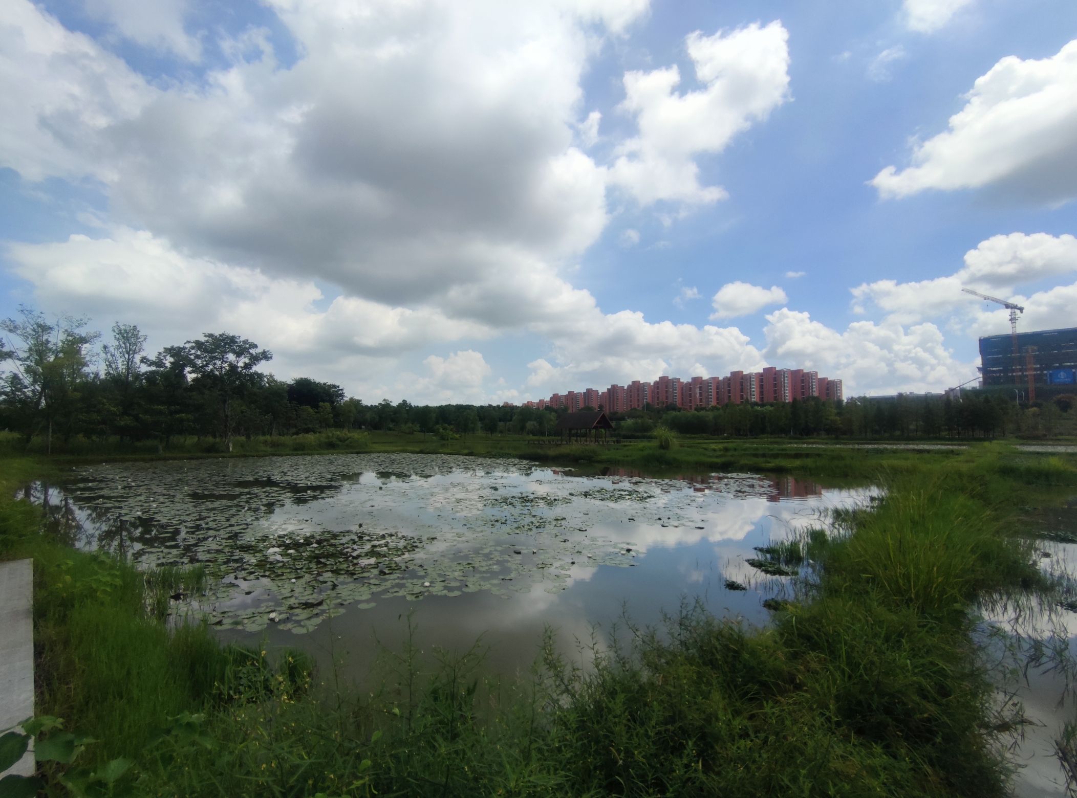 三江湿地公园旅行图片 1
