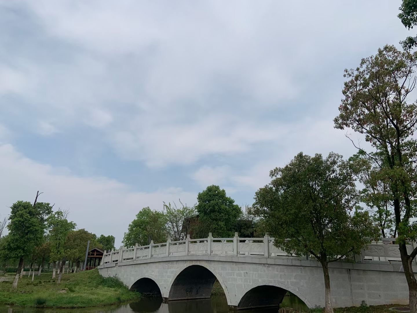 三江湿地公园旅行图片 2