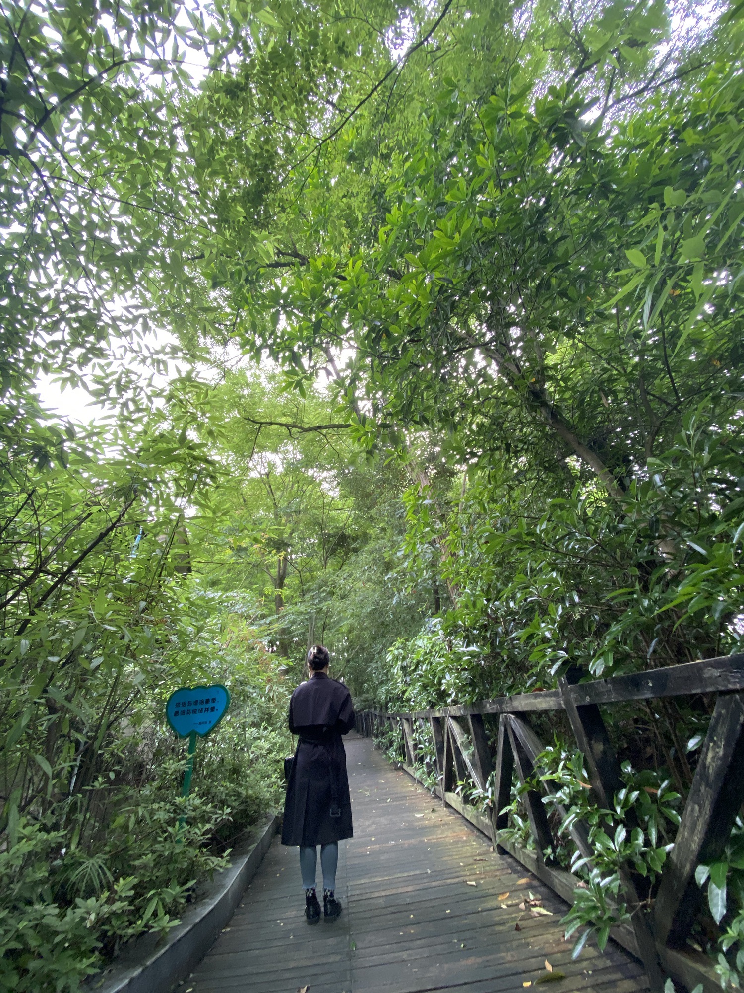 凤鸣山公园旅行图片 1