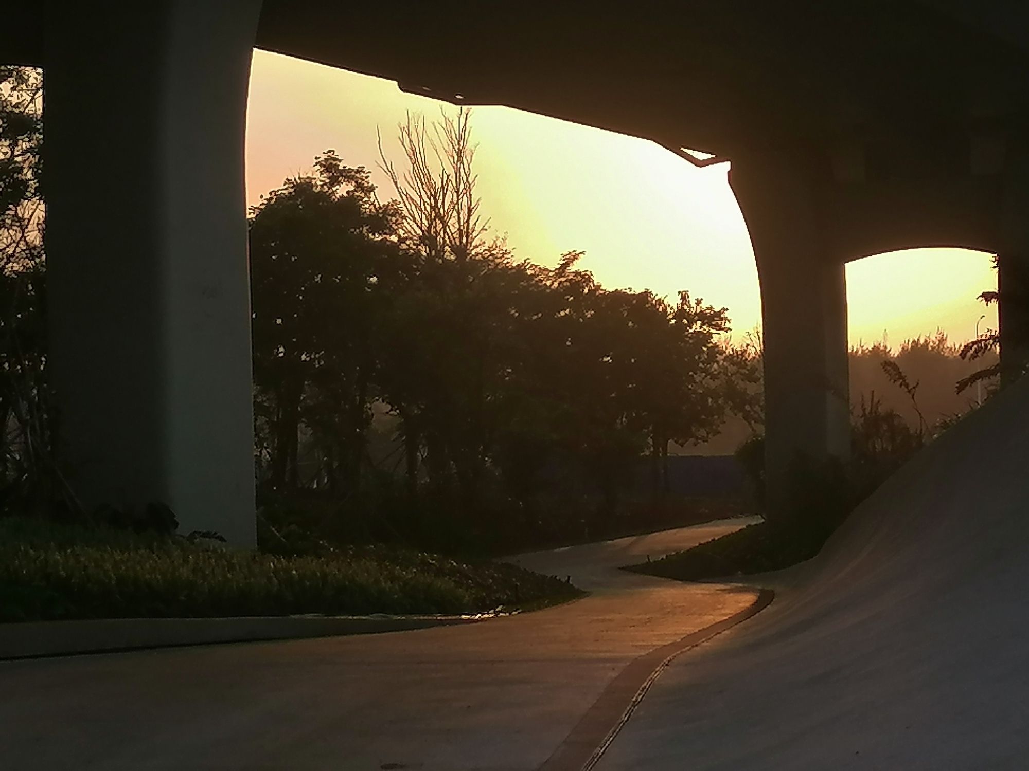 西秀公园旅行图片 2