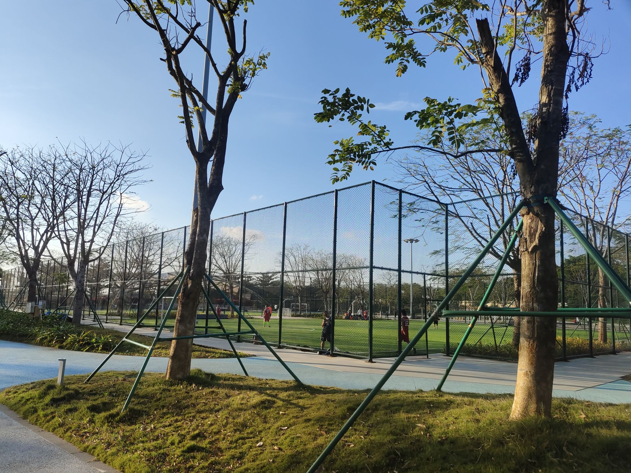 西秀公园旅行图片 3