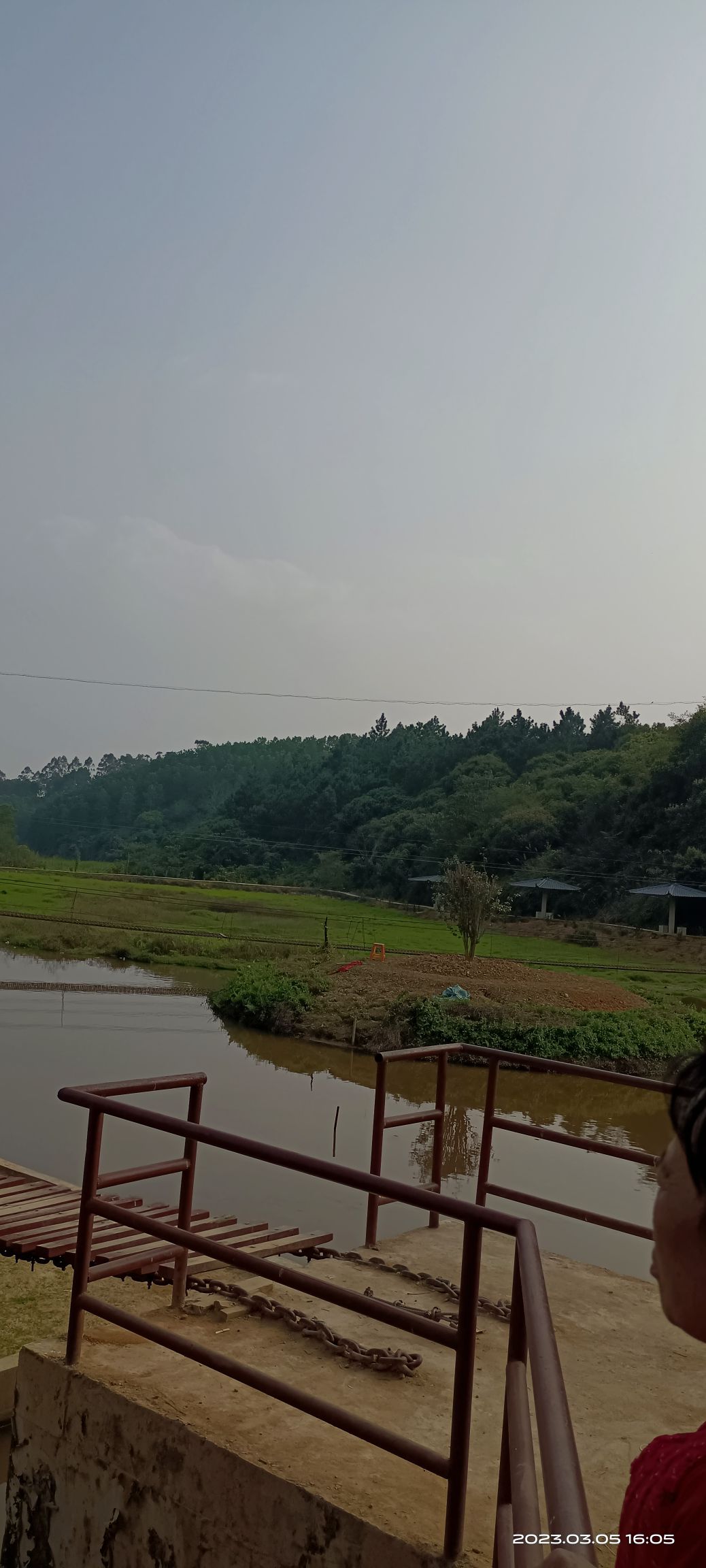 清湾镇八桂乡村公园旅行图片 1