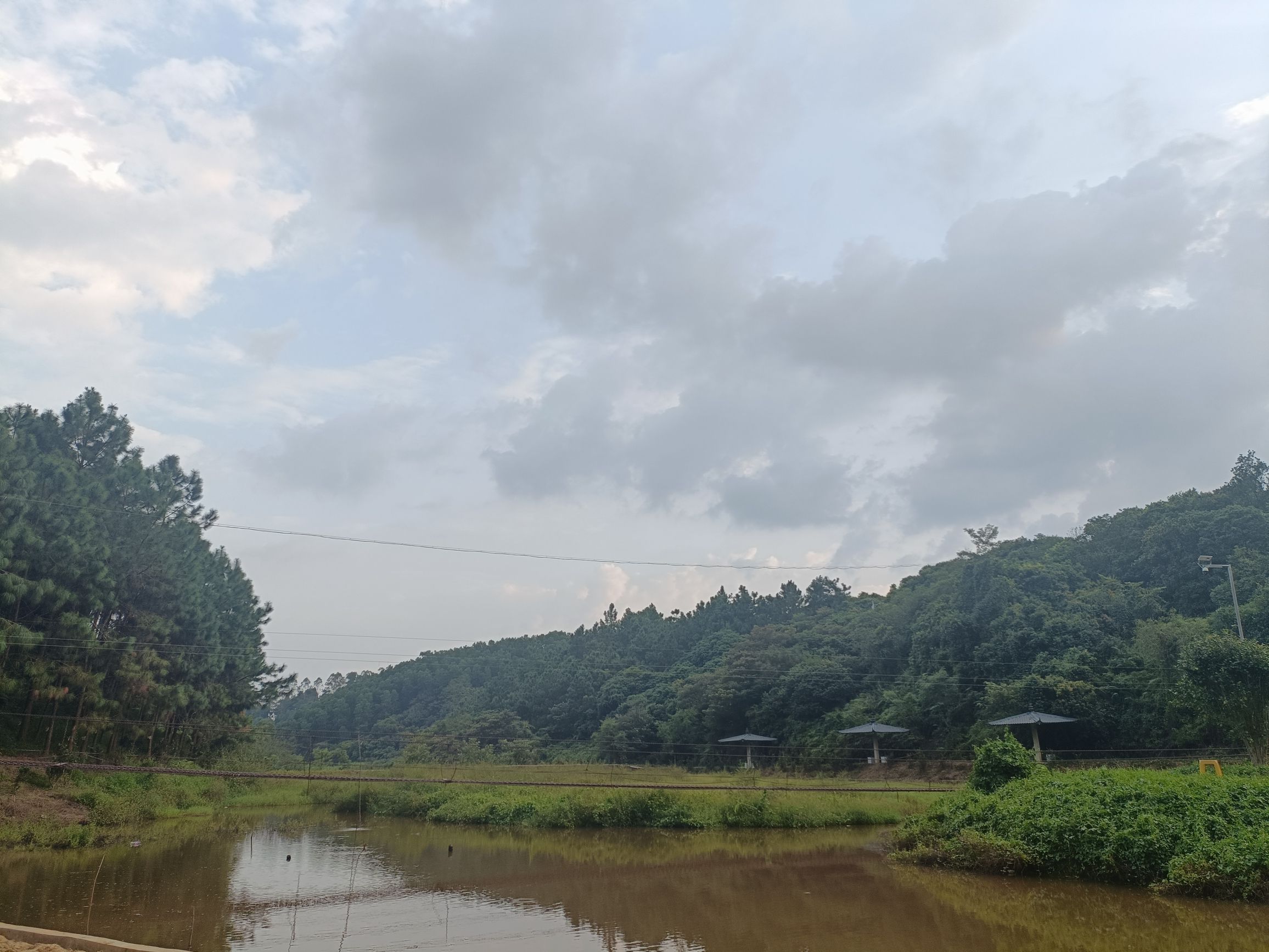 清湾镇八桂乡村公园旅行图片 1