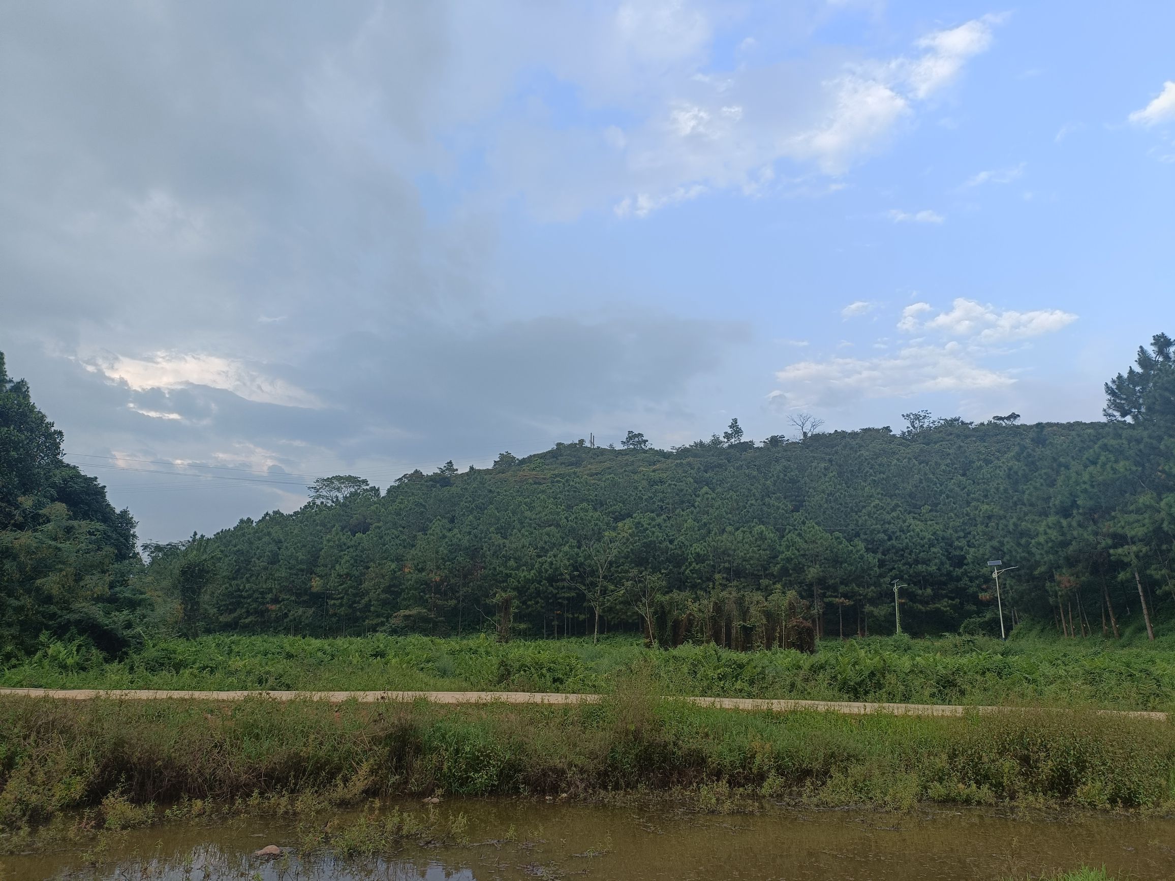 清湾镇八桂乡村公园旅行图片 2