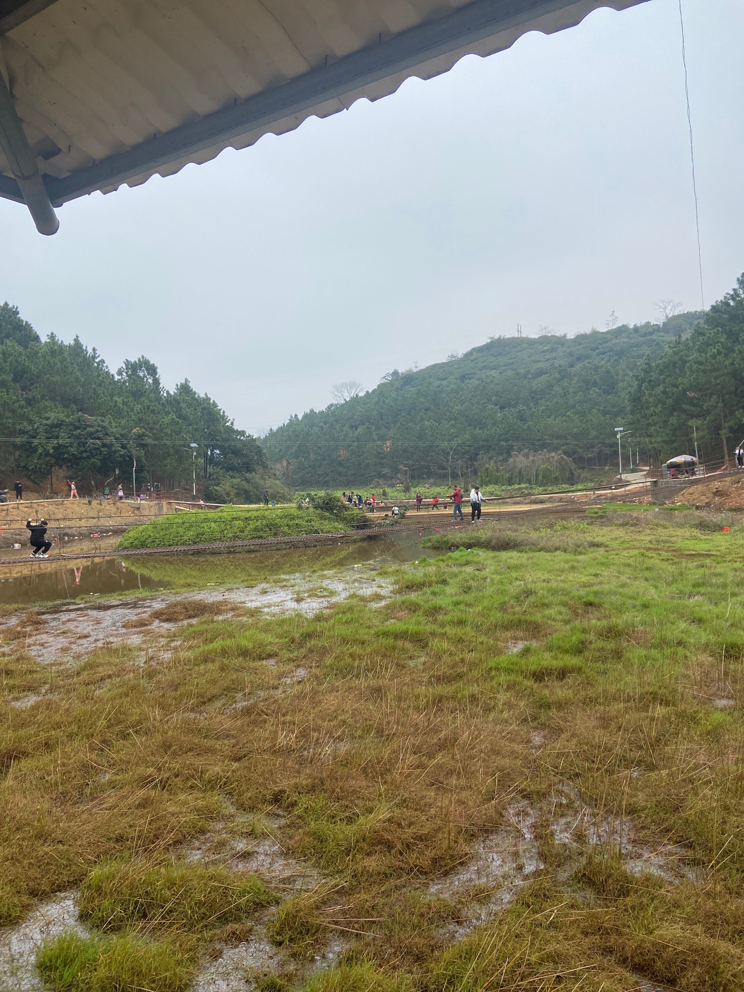 清湾镇八桂乡村公园