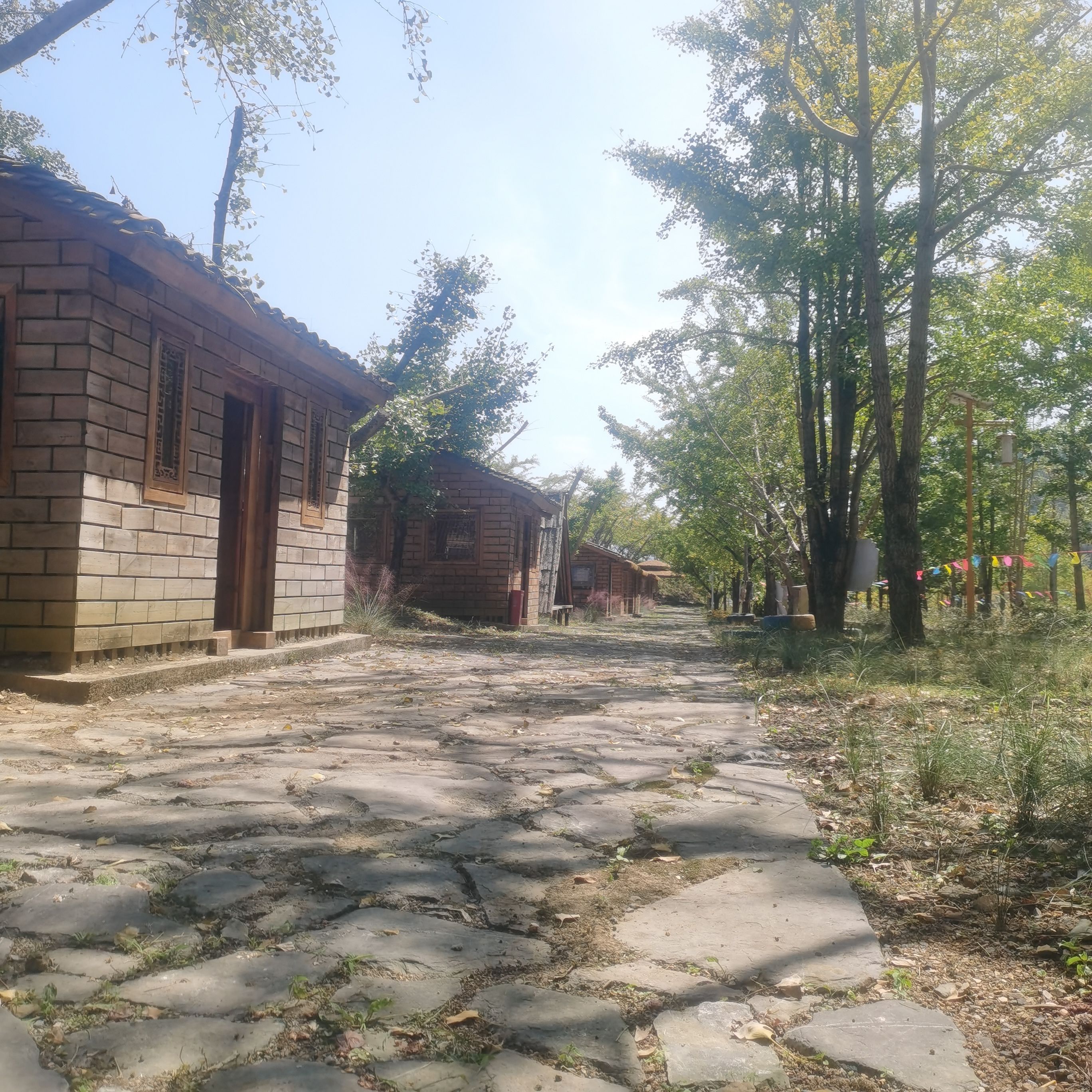 笼箱盖枫杏景区旅行图片 3