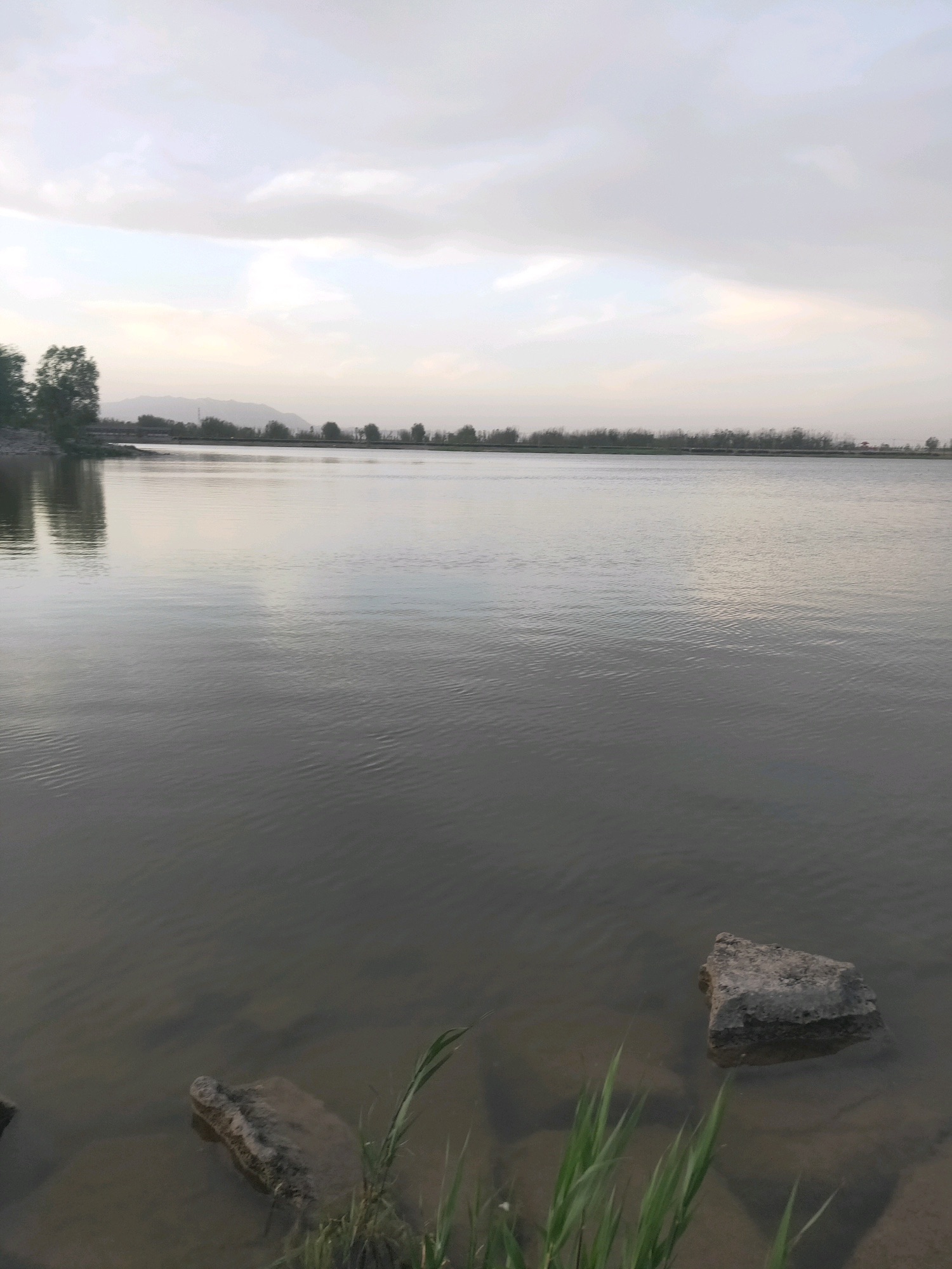 文湖景区旅行图片 3