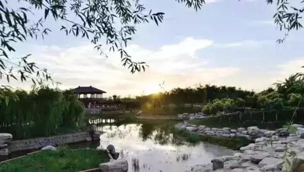 文湖景区旅行图片 2