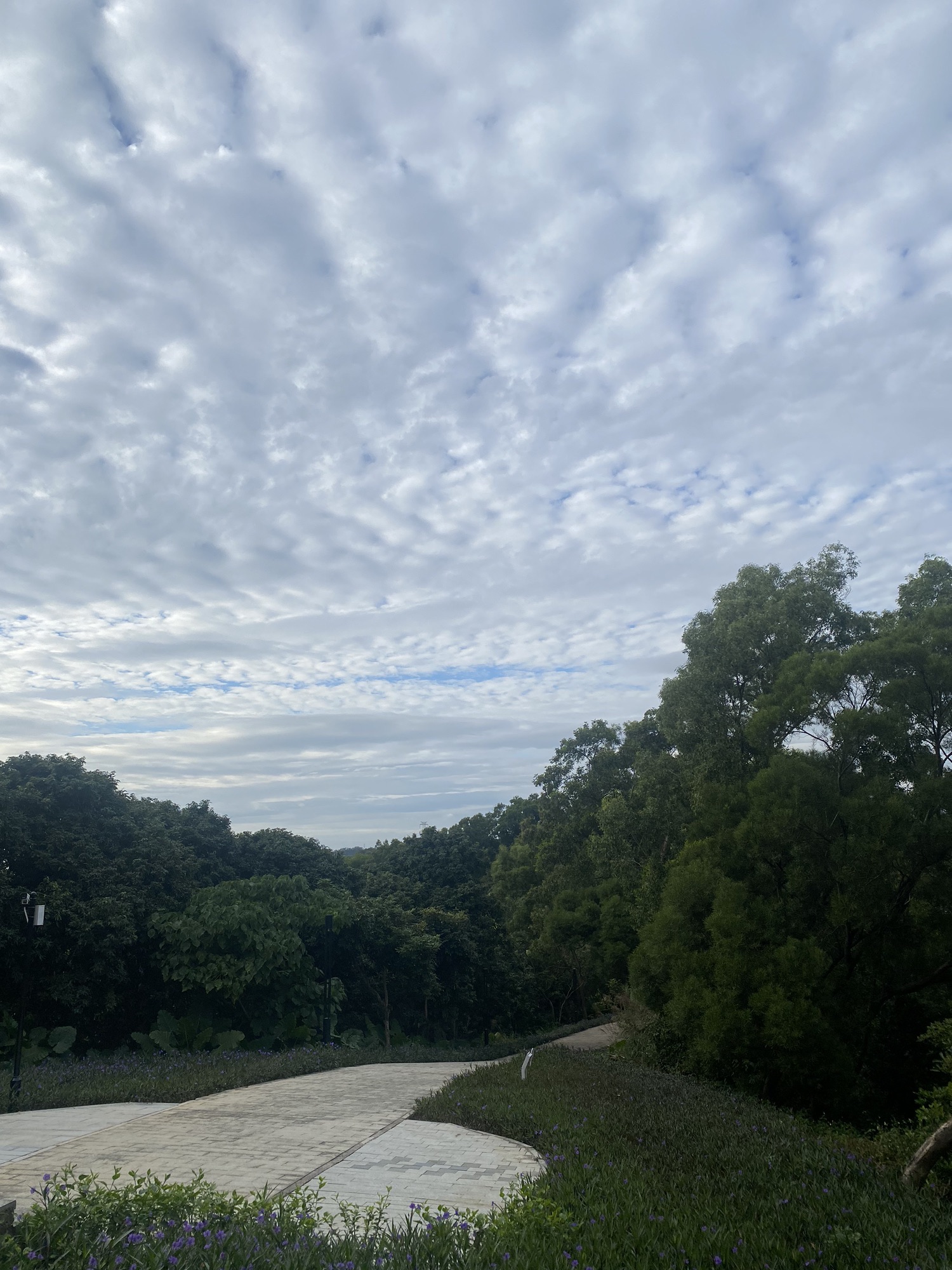 三联郊野公园旅行图片 2