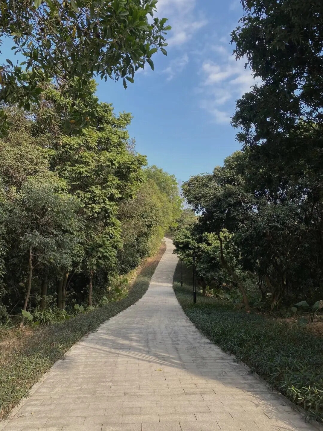 三联郊野公园旅行图片 2