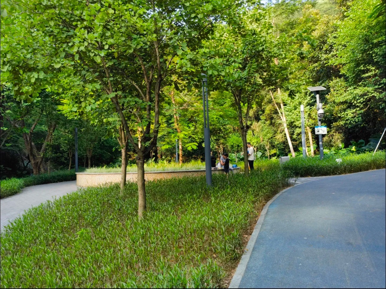 三联郊野公园旅行图片 2