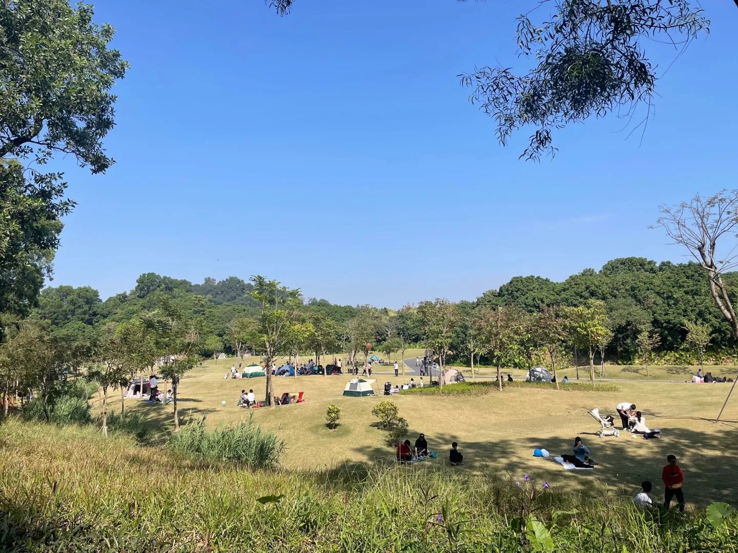 三联郊野公园旅行图片 2