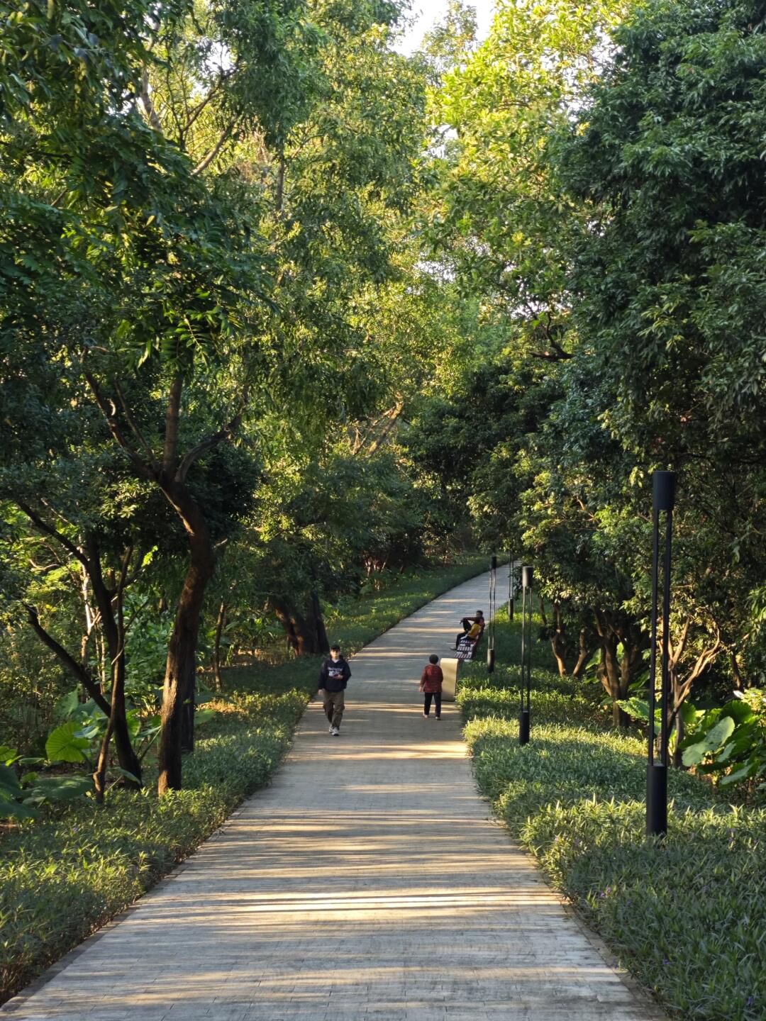 三联郊野公园旅行图片 1