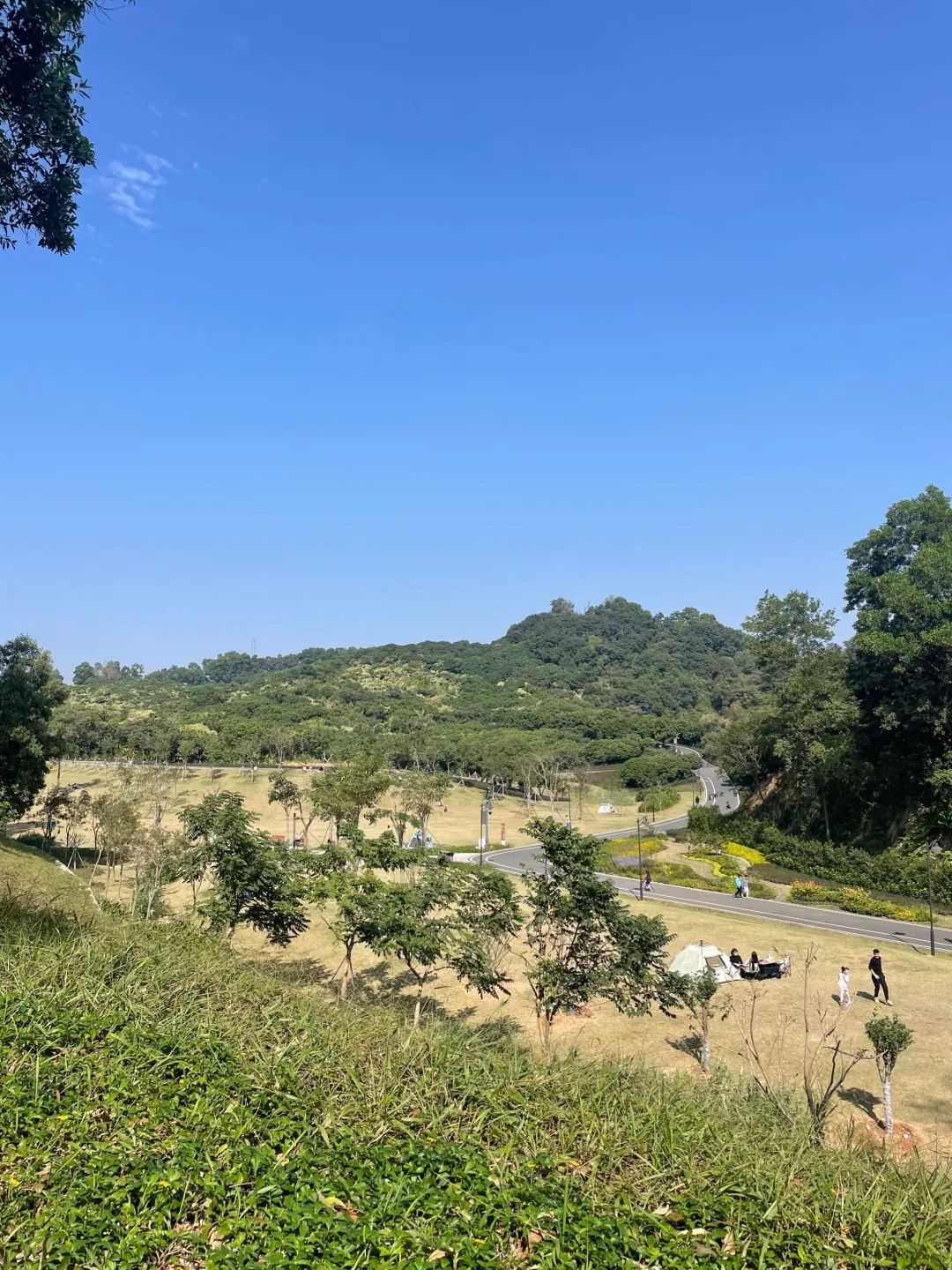 三联郊野公园旅行图片 3