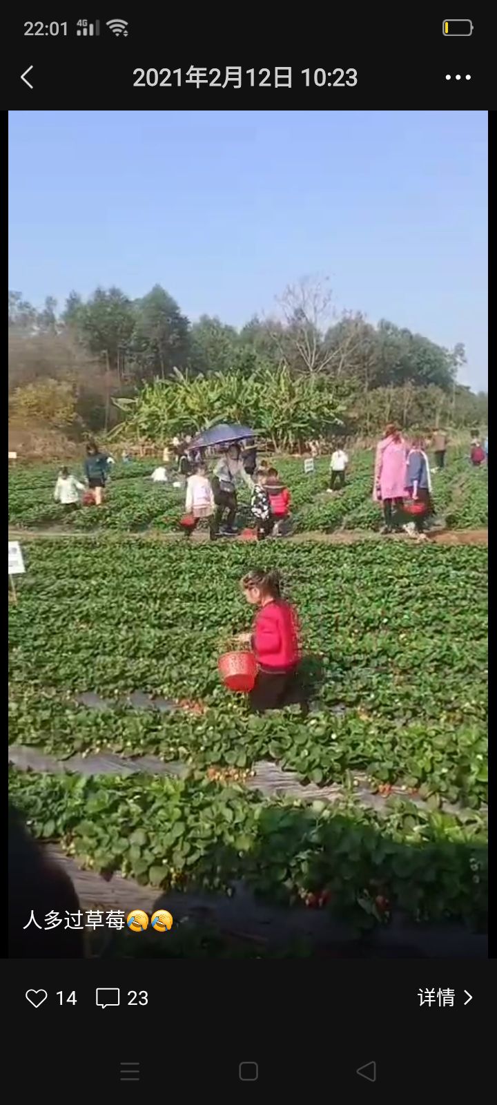 油柑冲后山公园旅行图片 3