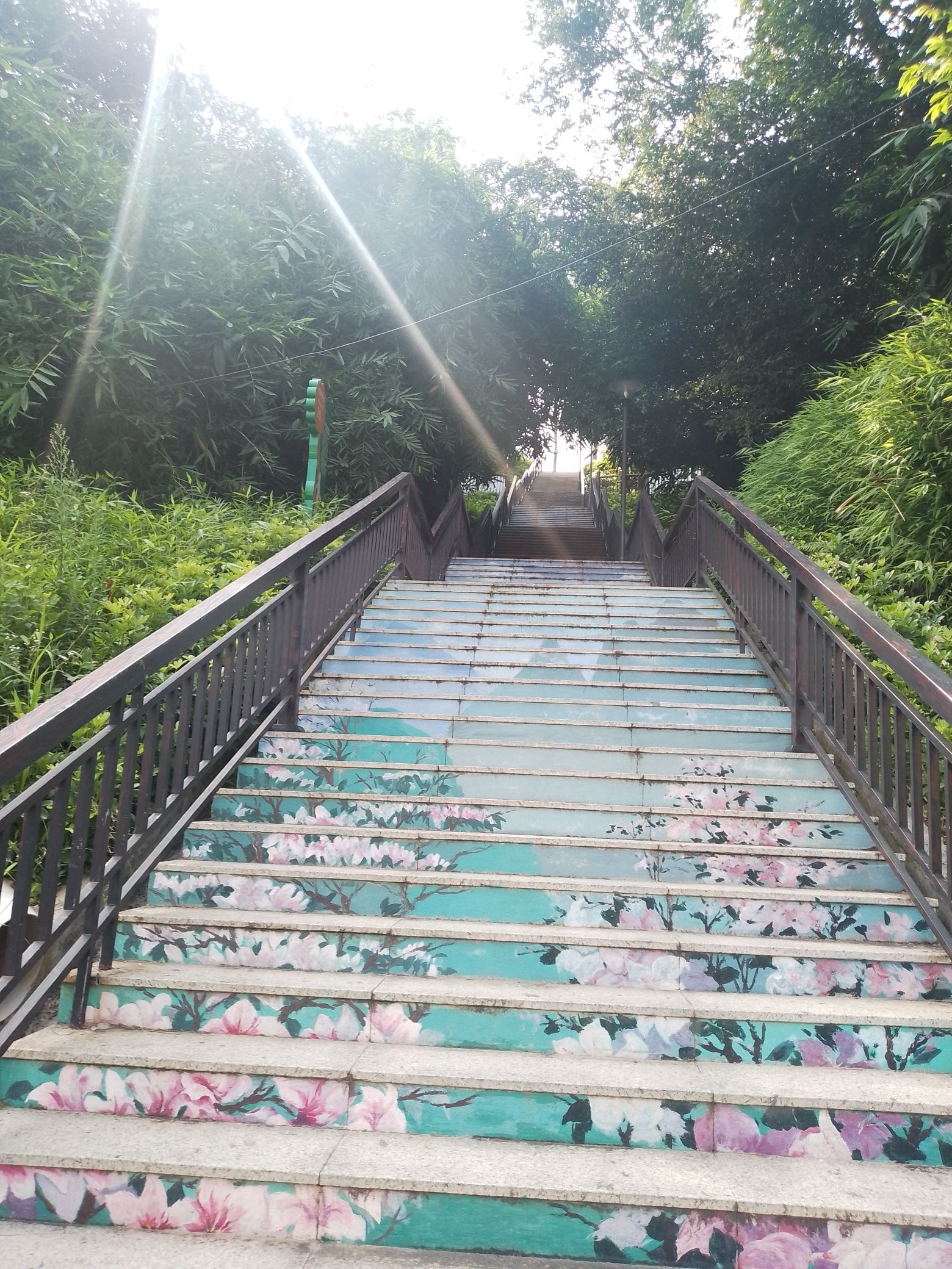 北楼岗公园旅行图片 1
