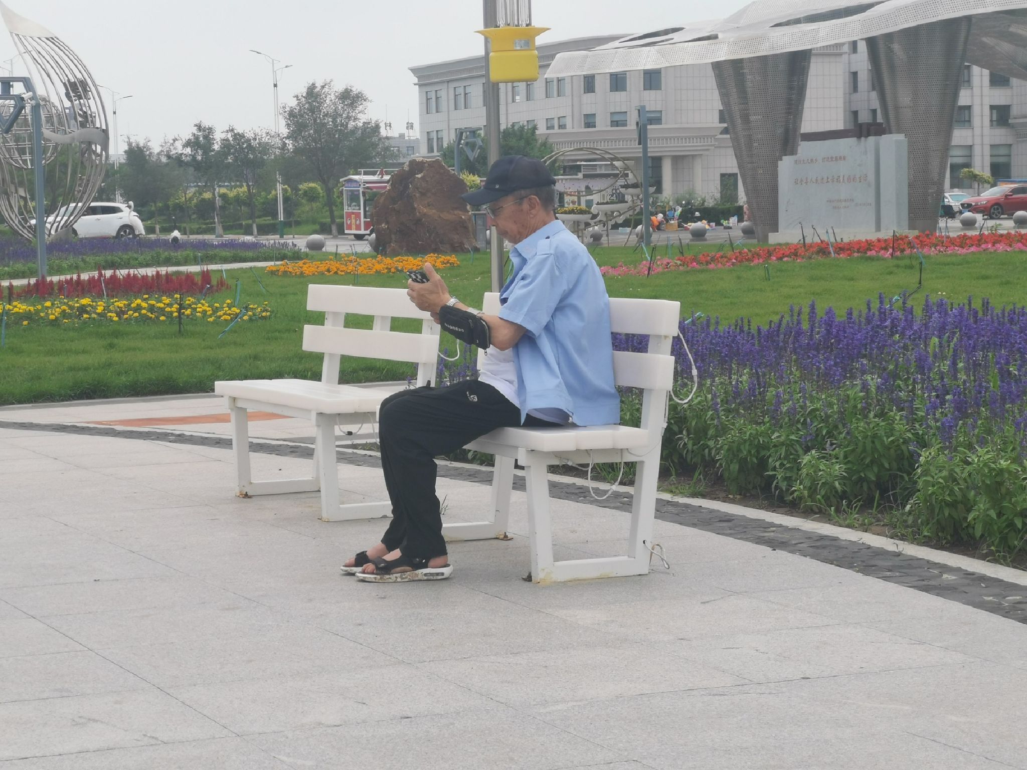 树满公园旅行图片 1