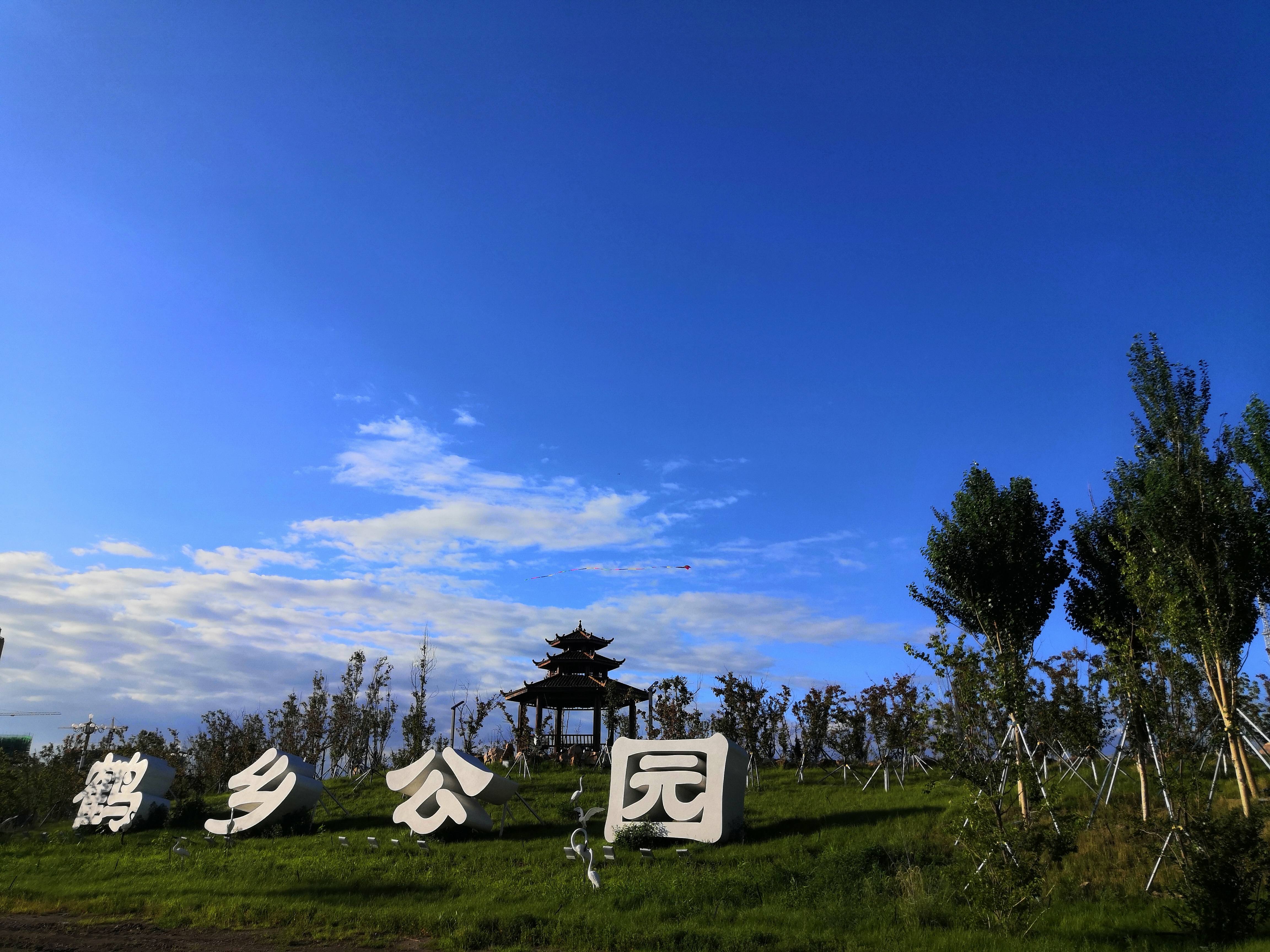 树满公园旅行图片 1