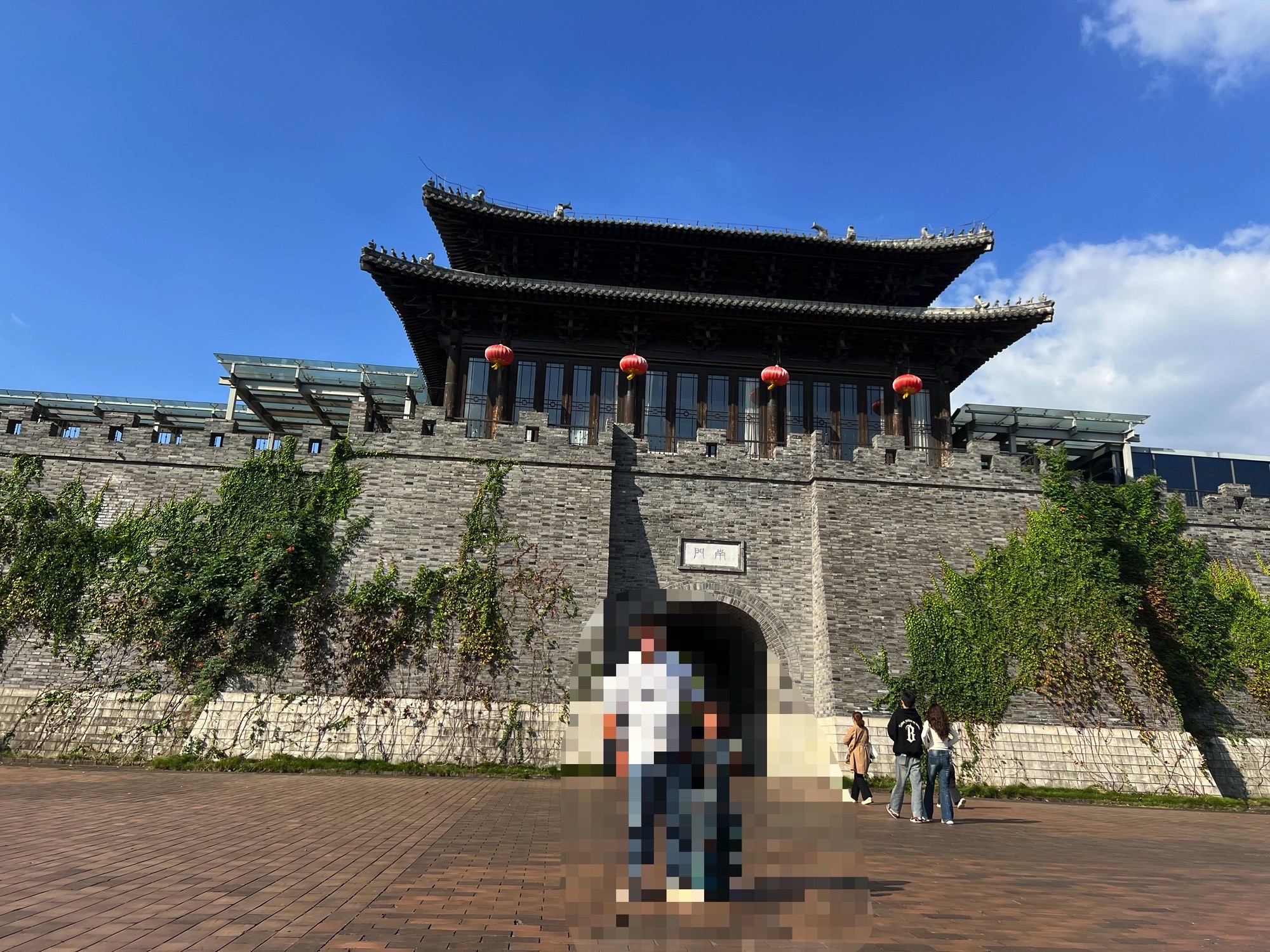 宋夹城考古遗址公园旅行图片 3