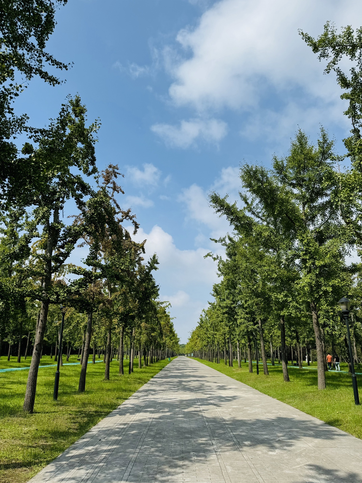 宋夹城考古遗址公园旅行图片 1