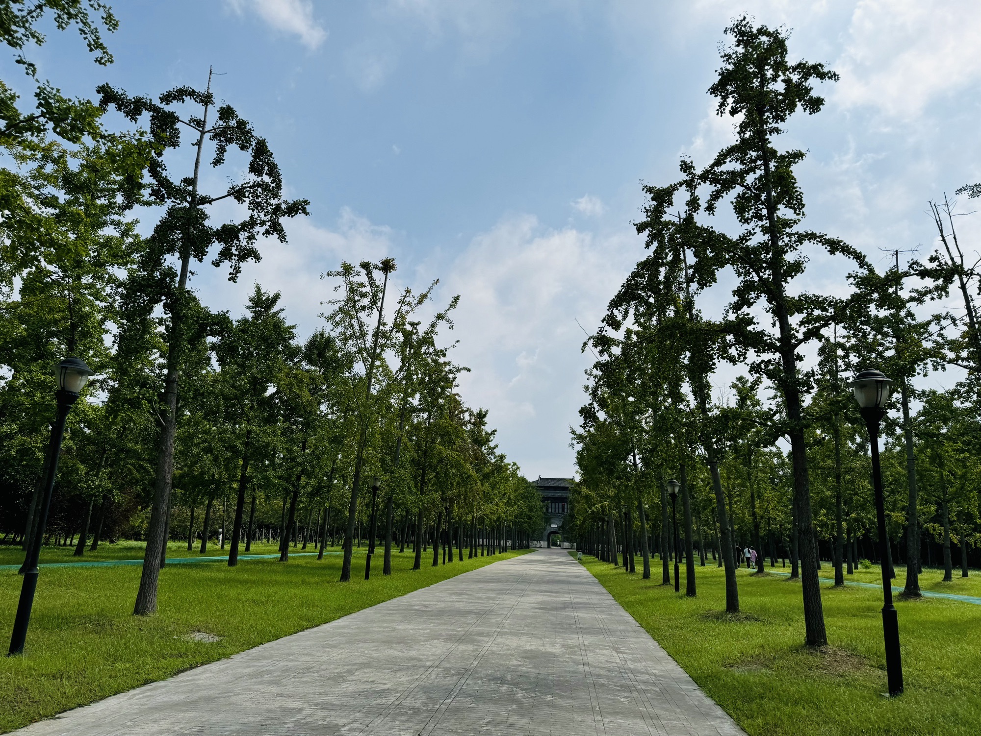 宋夹城考古遗址公园旅行图片 3