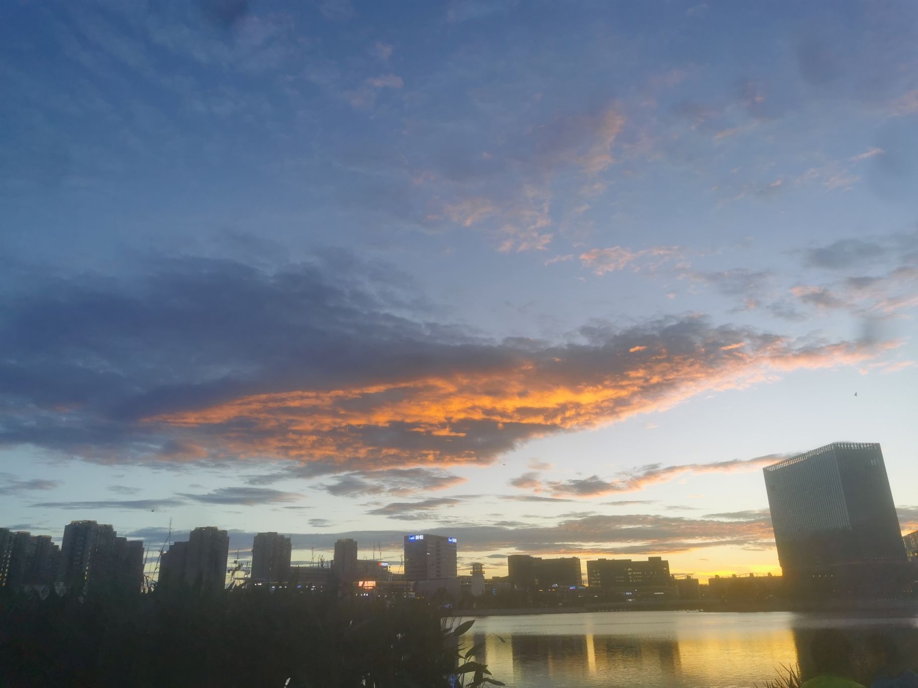 同心湖公园旅行图片 1