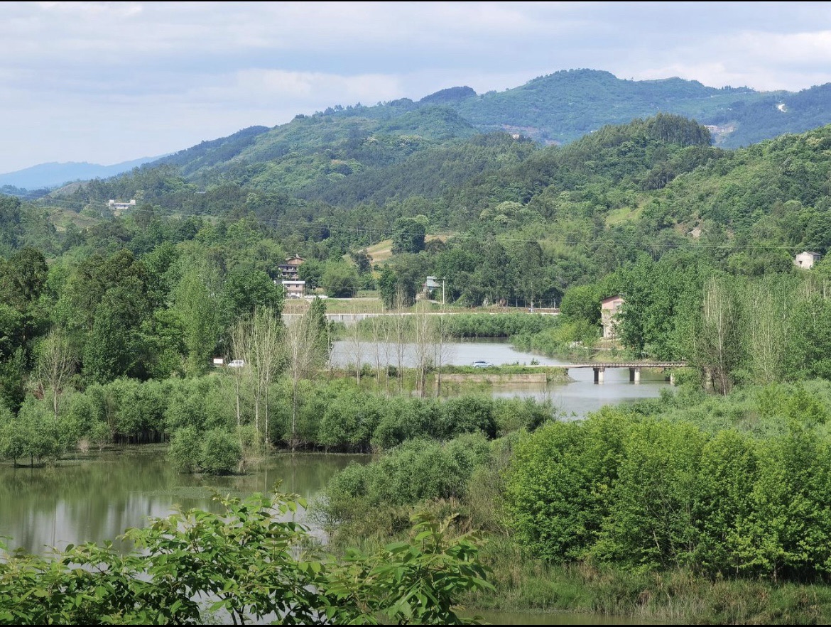让水湖湿地公园旅行图片 3