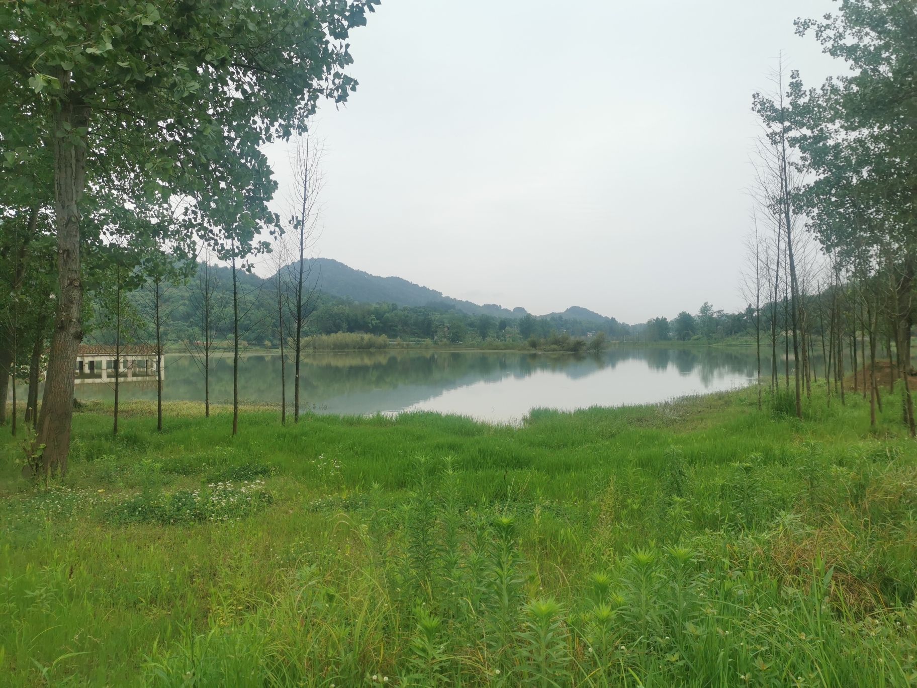 让水湖湿地公园旅行图片 3