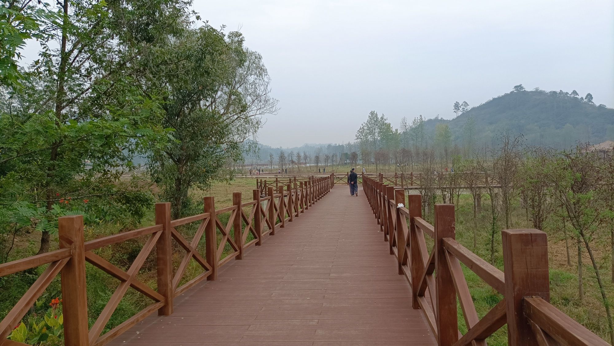 让水湖湿地公园旅行图片 2