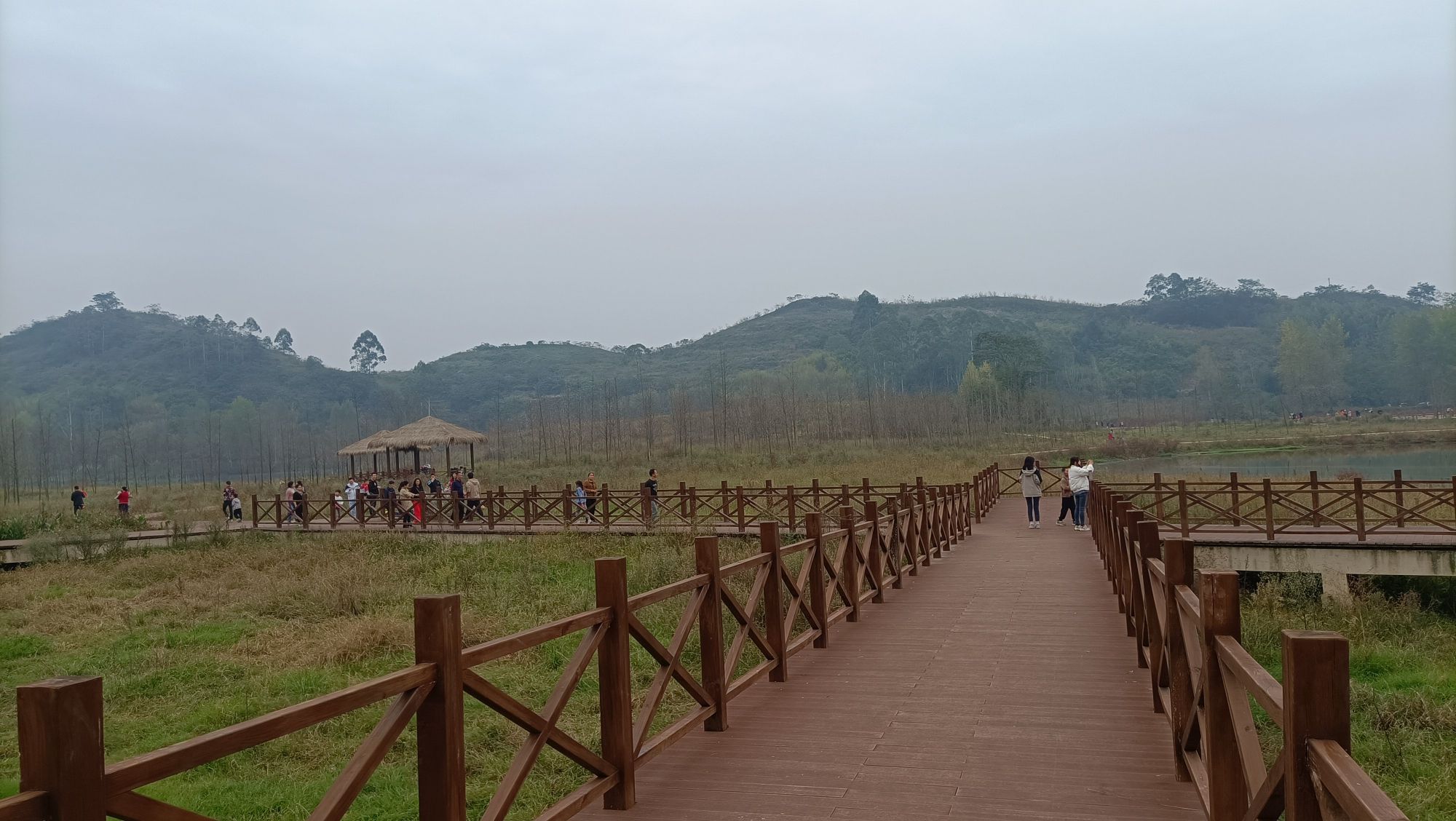 让水湖湿地公园旅行图片 3